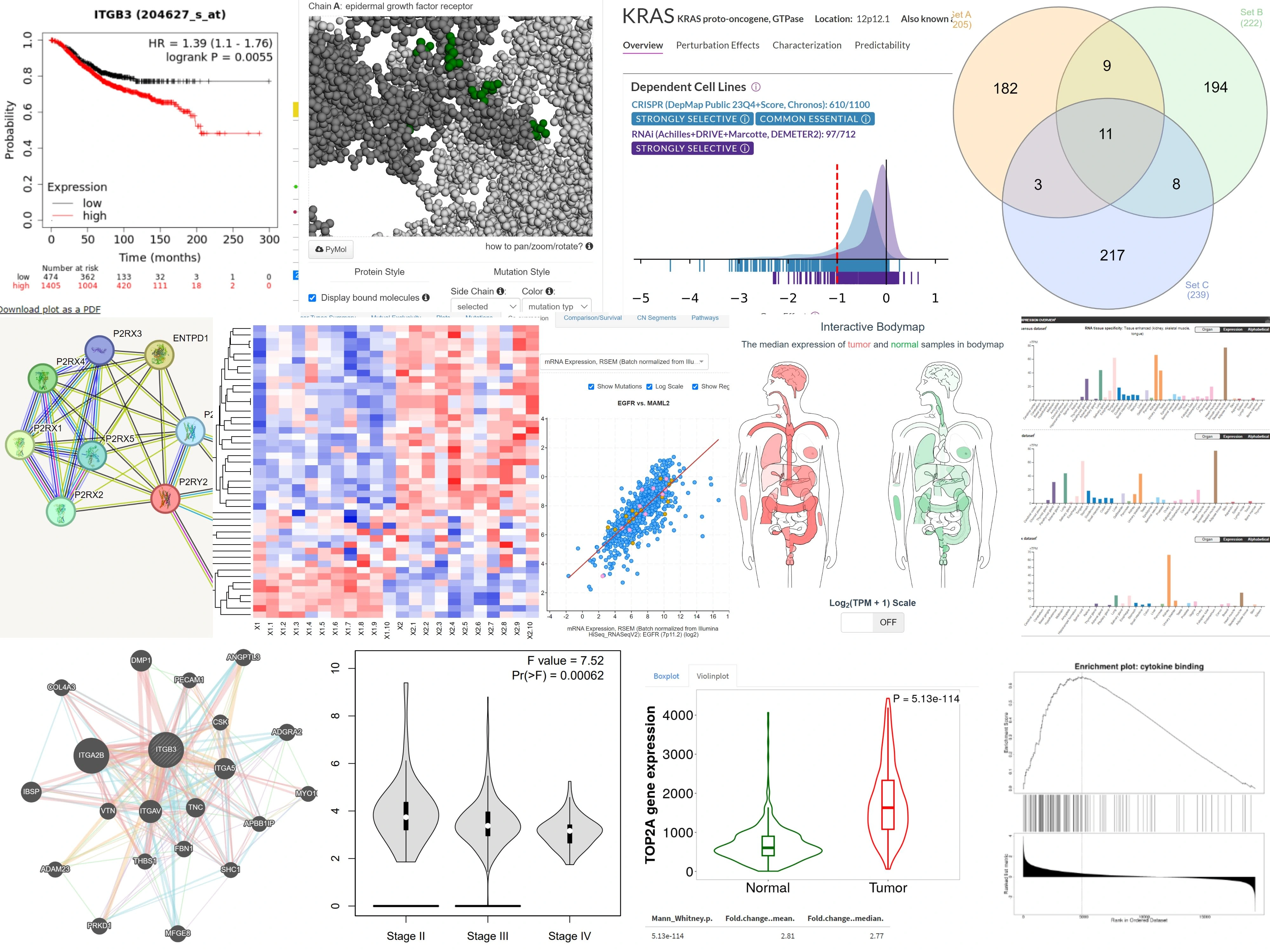 Different Online Tools for Cancer Research