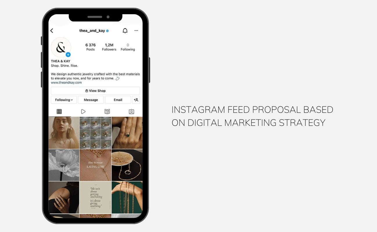 Instagram Feed Visualisation