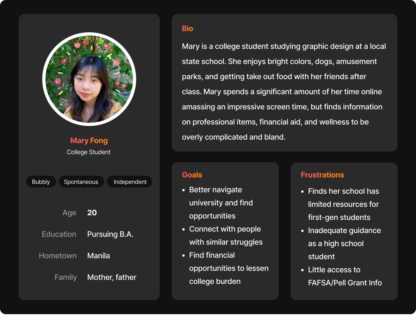 User Persona 2 - Mary Fong