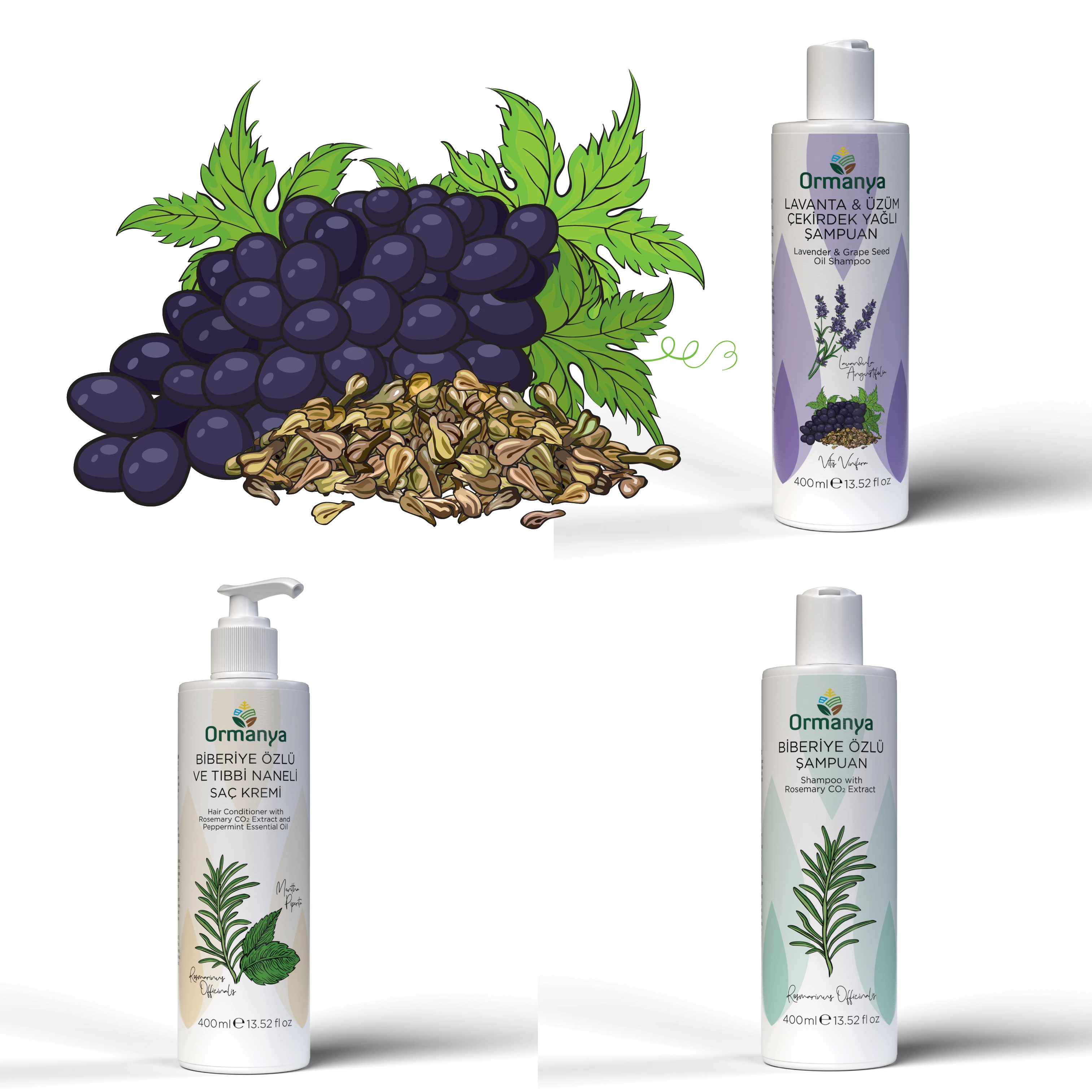 Illustration and Packaging & Label Designs for Grape Seed Oil Shampoo