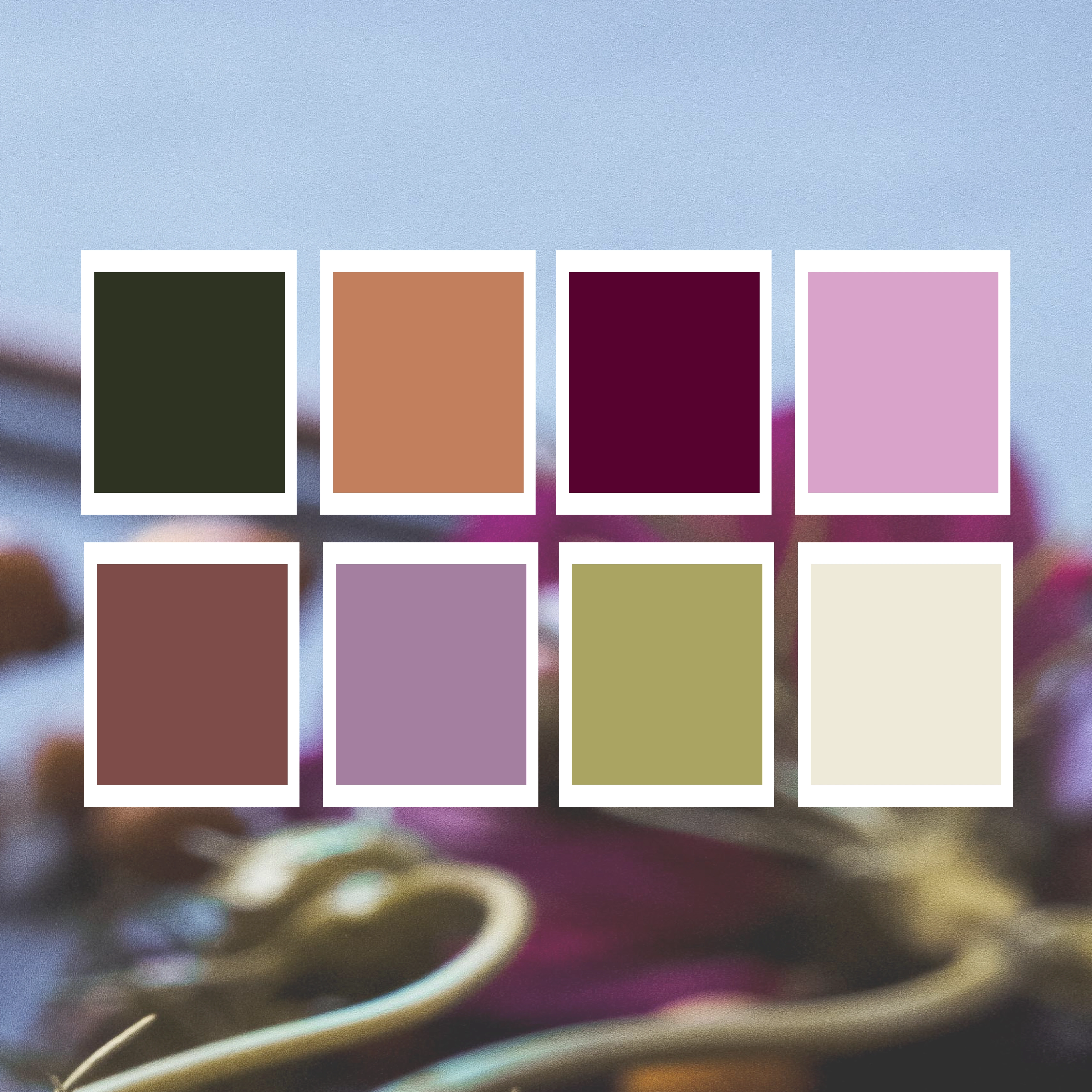 Color Palette