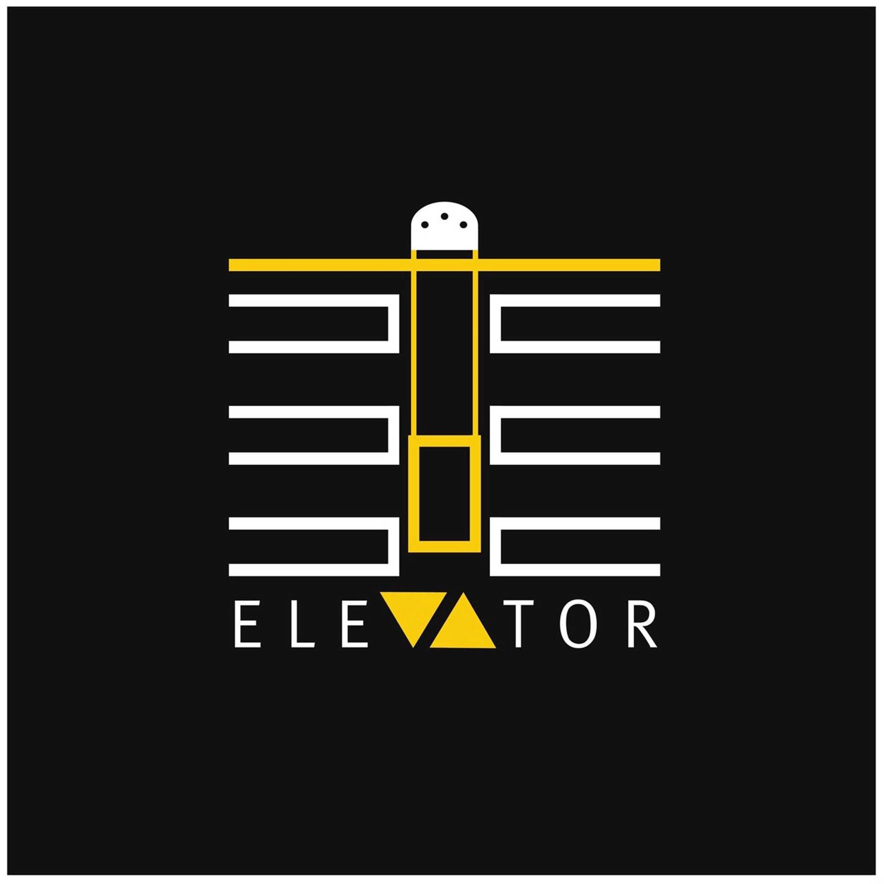 Taking your business to new heights with our custom logo design for a local elevator service team.