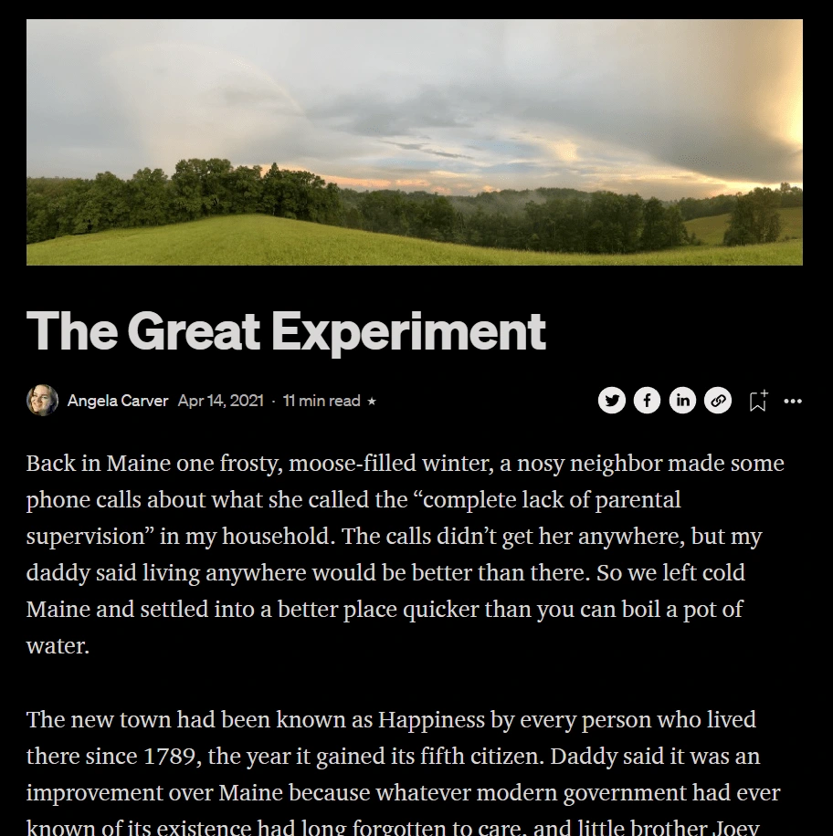 "The Great Experiment" as published on Angela's blog