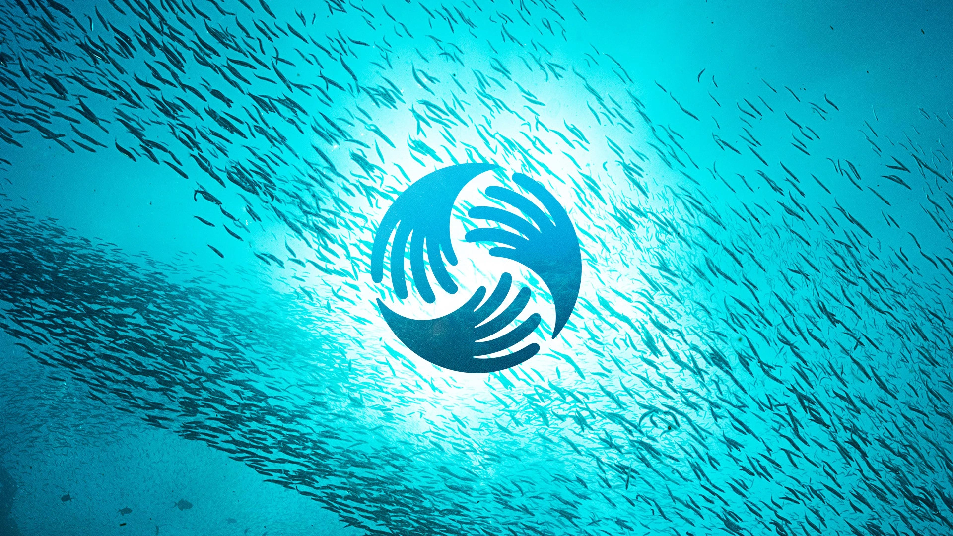 The National Ocean Protection Coalition believes that a vibrant ocean, filled with thriving wildlife and flourishing habitats, and resilient to the effects of climate change will allow nature to sustain all people, communities, and life on earth. In 2024, NOPC embarked on a project to take their coalition’s branding to the next level. In collaboration with the Satori Agency, we created a strong brand identity to further elevate their partners, campaigns, and initiatives. NOPC's new logo is rooted in the idea of combining hands and waves, representing the convergence of our diverse coalition of partners to rally around a shared cause, to advance ocean conservation. Interlocking these hands and waves into a circular shape gives the mark movement and feels full of life and collaboration. The symbol also represented schools of fish that worked in synchronization of each other which embodies how the coalition operates. NOPC’s new tagline, “Many voices, one ocean” is inspired by the partners who are the heart of what we do, and communicates our mission to bring together people and organizations to advocate for the protection of our ocean. It expresses unity, collaboration, and partnership in a supportive and uplifting way, making a big mission feel attainable through partnership.