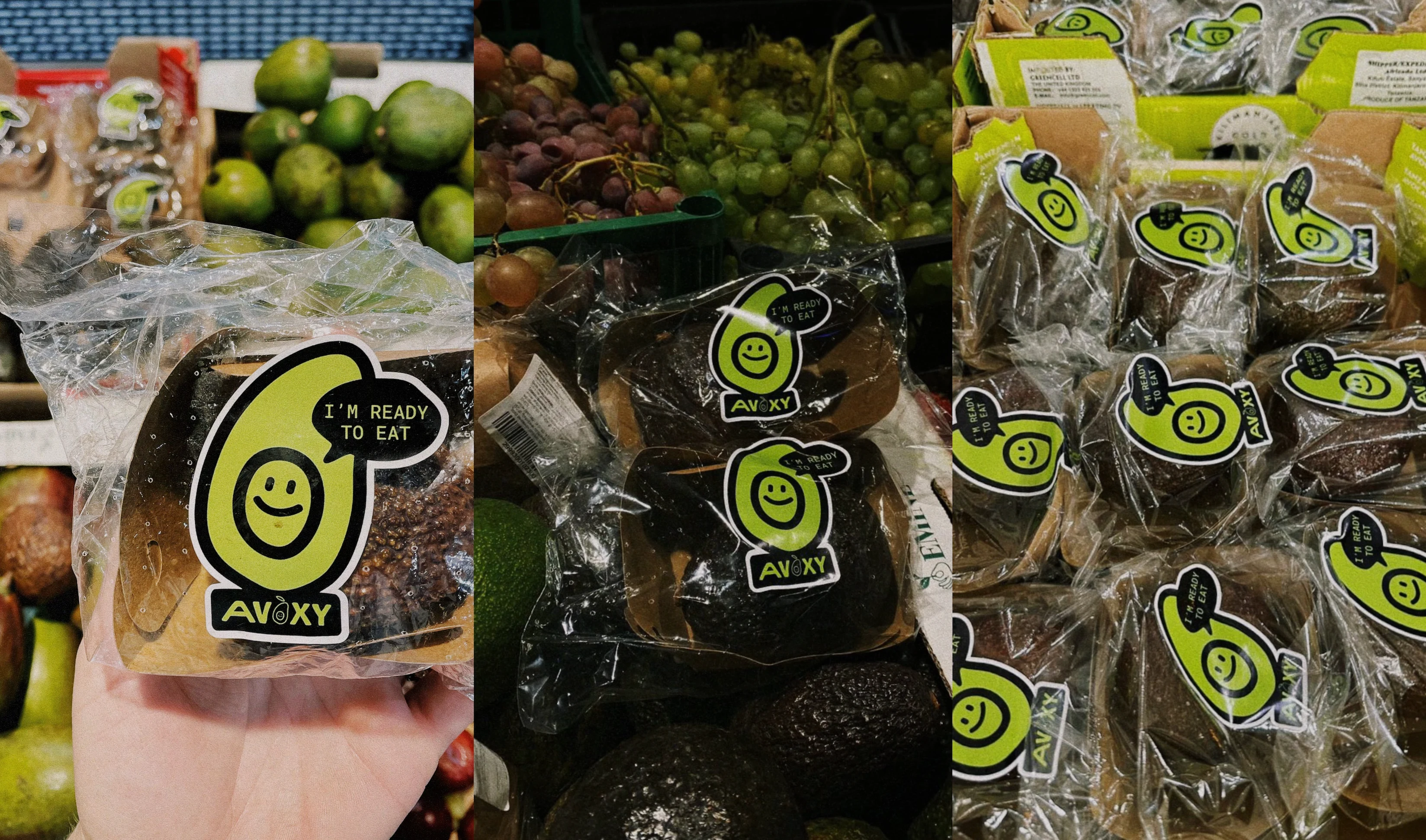 Stickers for avocado package