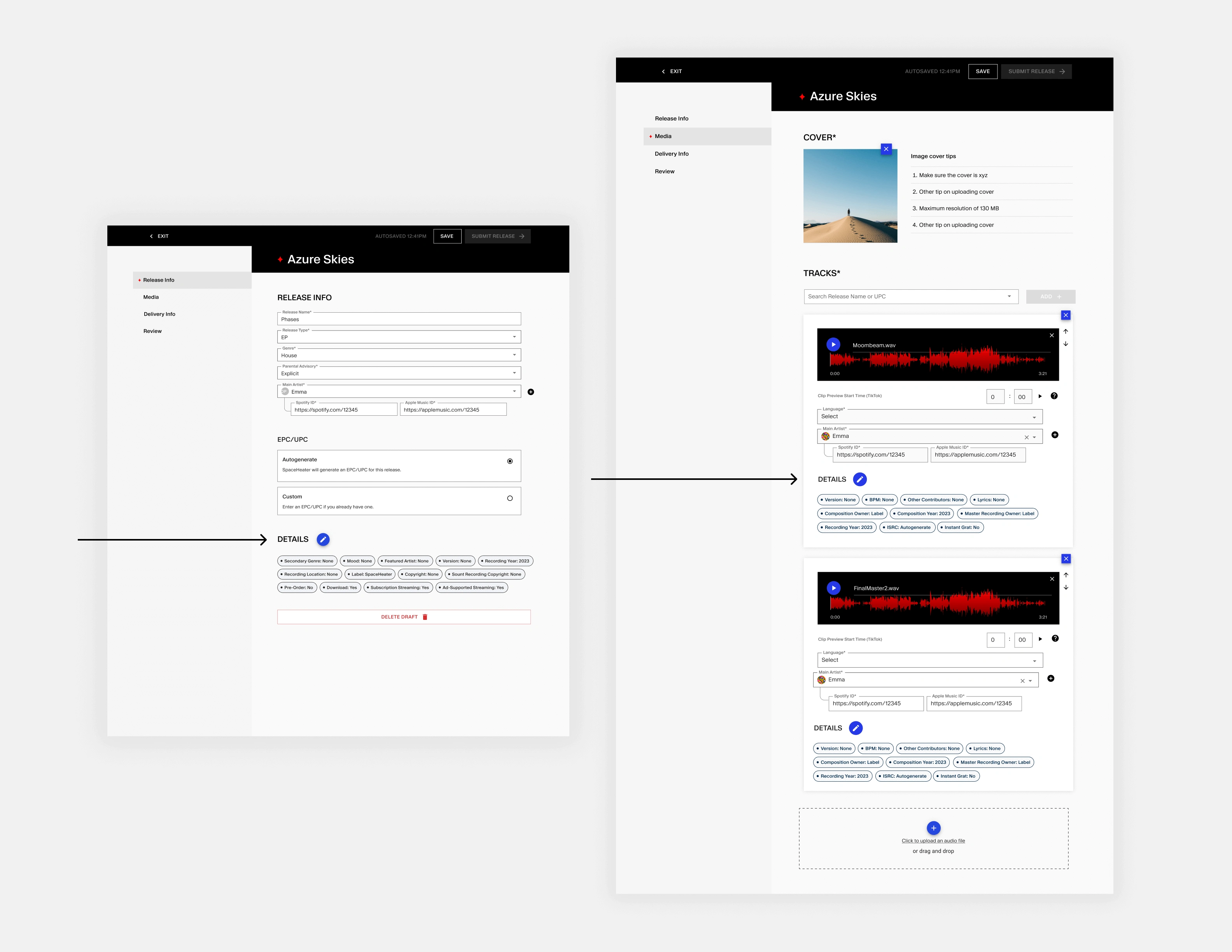 Detail section containing optional form fields