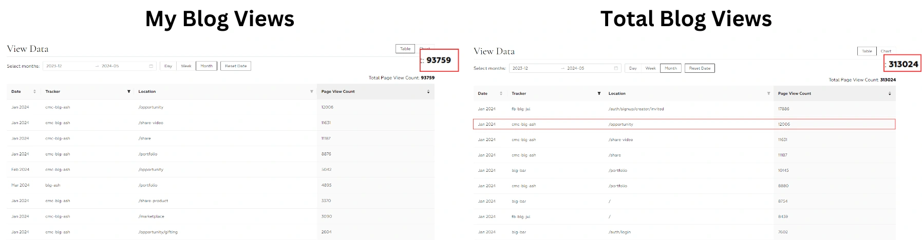 Blog Views Metrics from Dec 2023 - May 2024