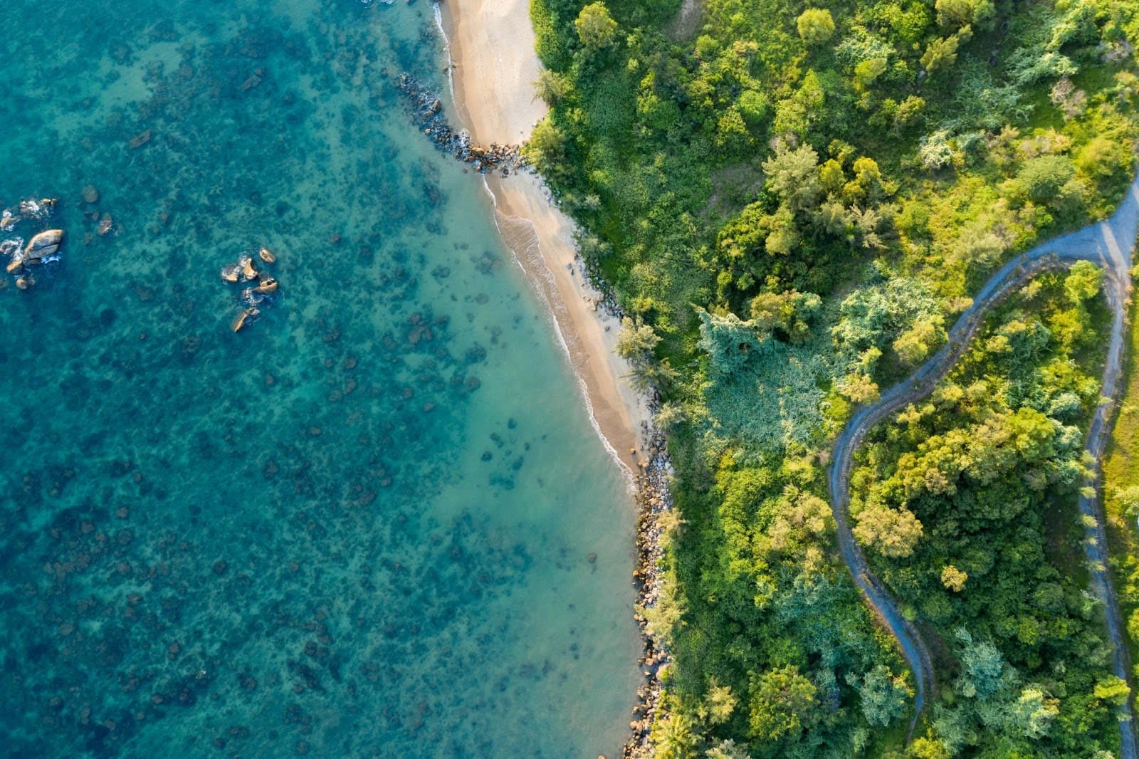 Alt Text: Bird's eye view of beach line. Image Source: 