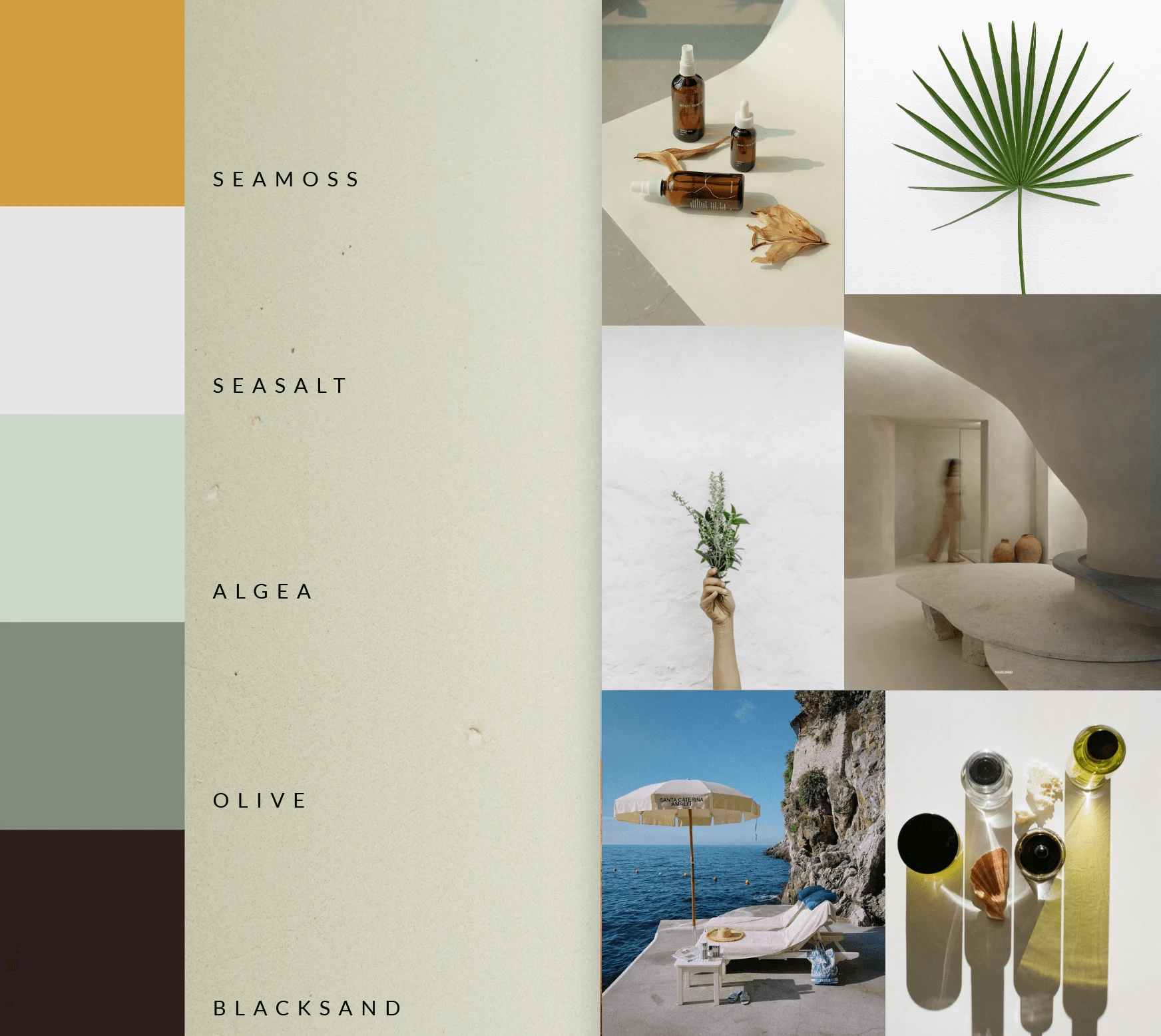 A curated color palette and imagery style were crafted to evoke a sense of calm. An homage to the organic rhythms of ocean life, where fluidity and serenity coexist.