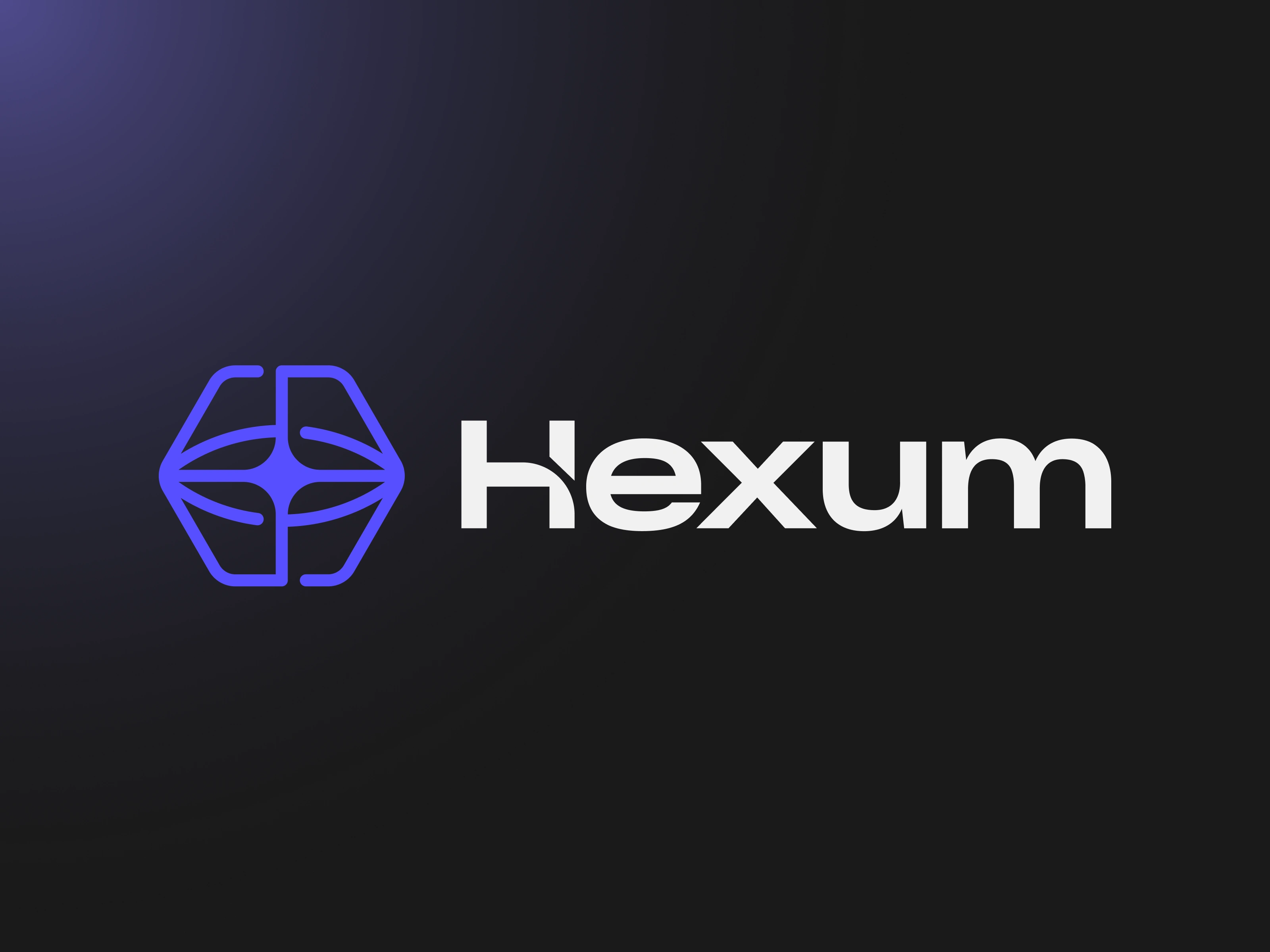 Logo design for Hexum.