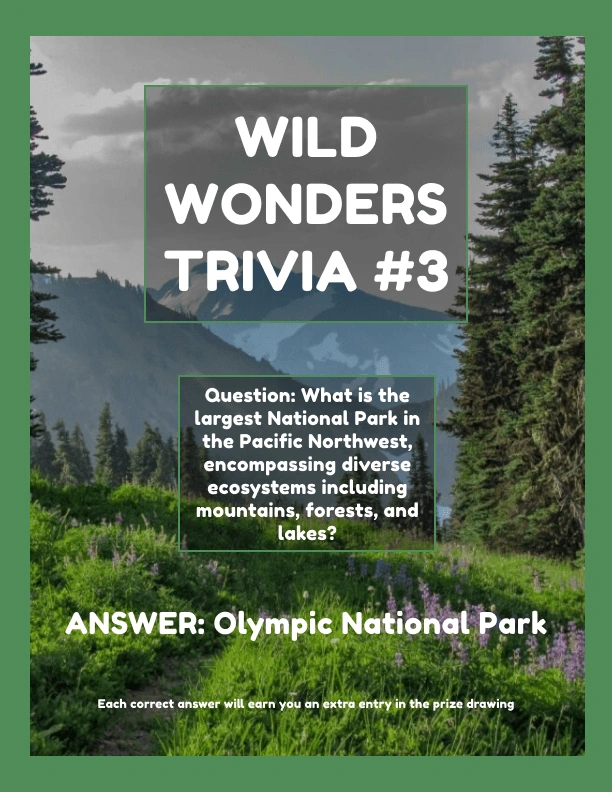 Nature-related trivia game