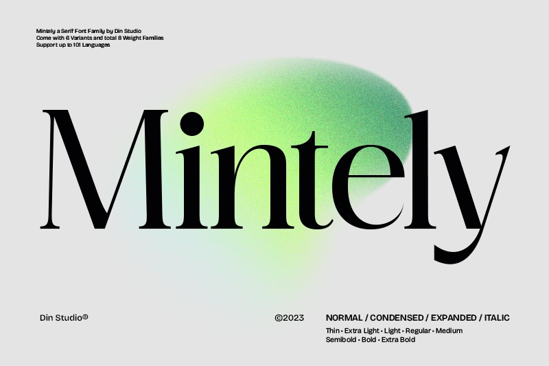 Mintely Font by Din Studio