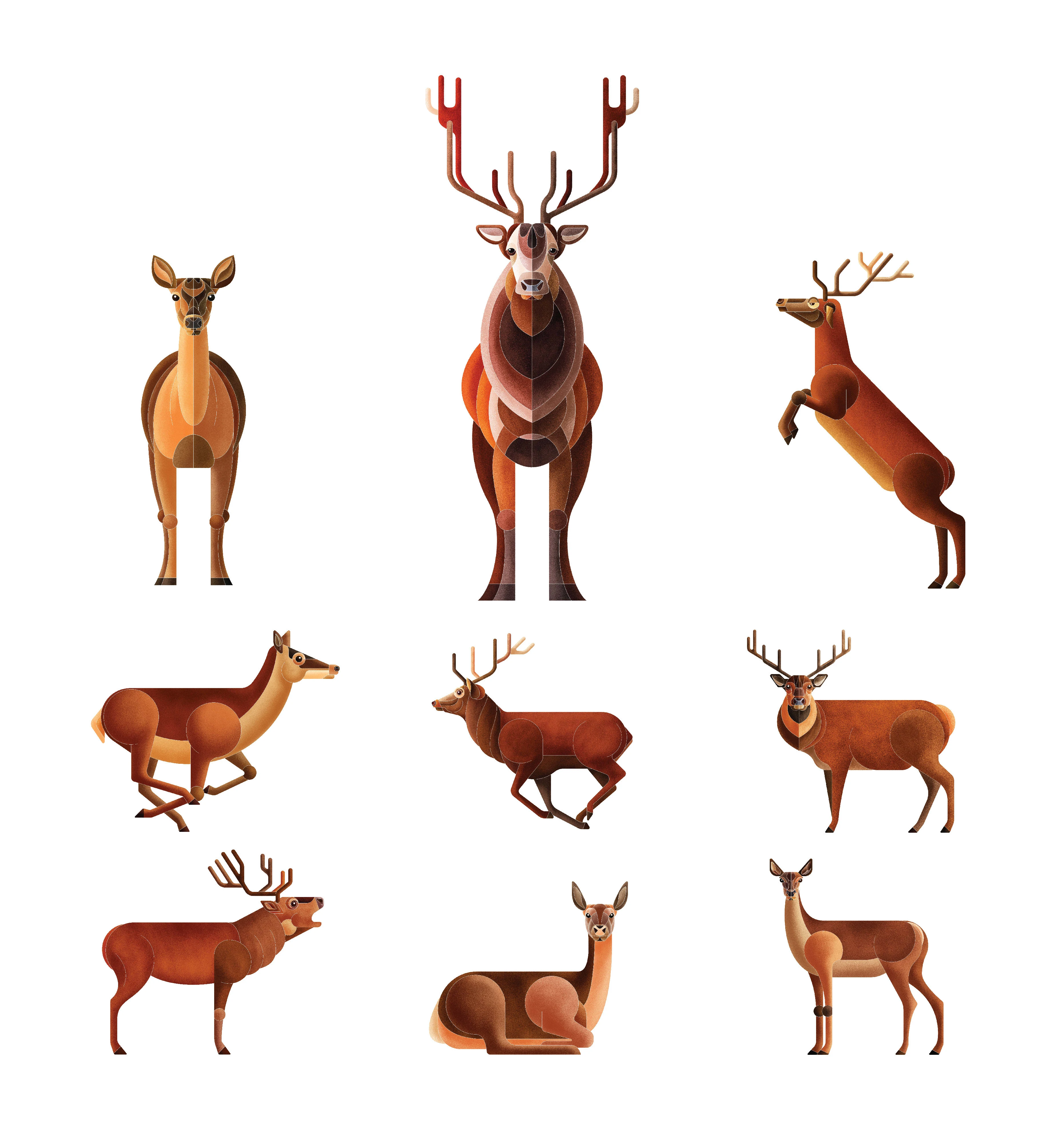 Coloured Red Deer Characters