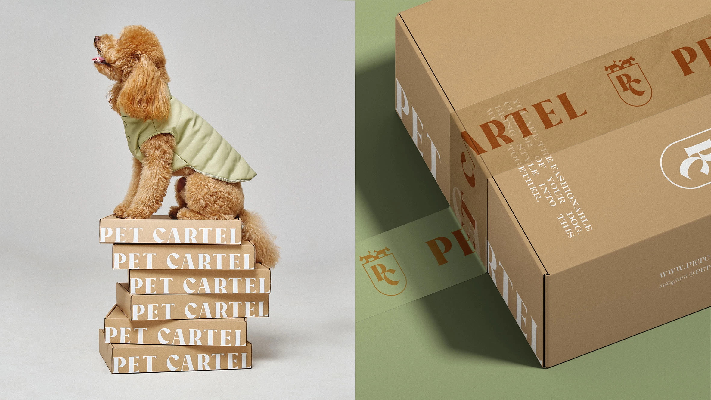 Logotype & paper packaging design