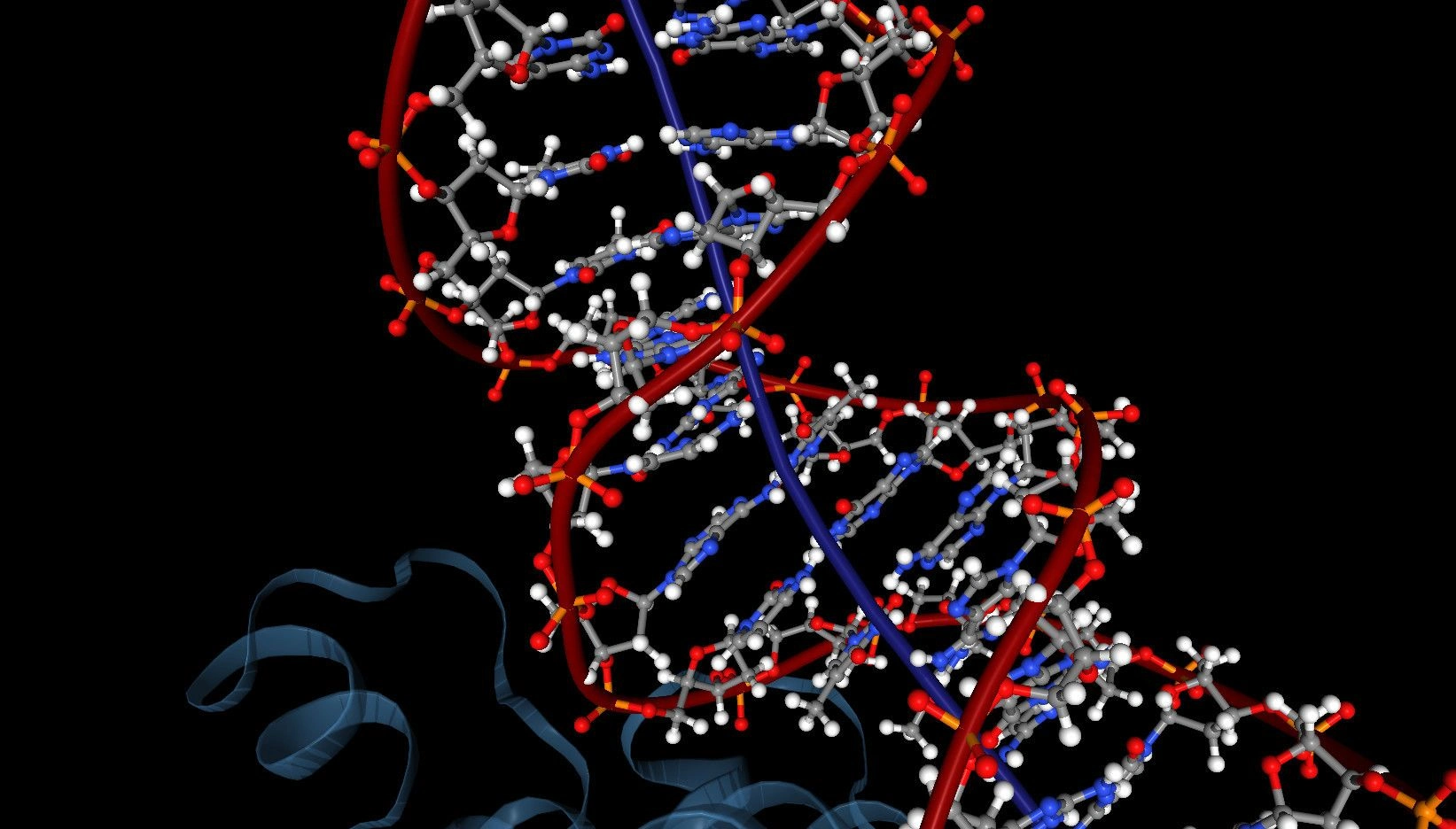 DNA Visualisation