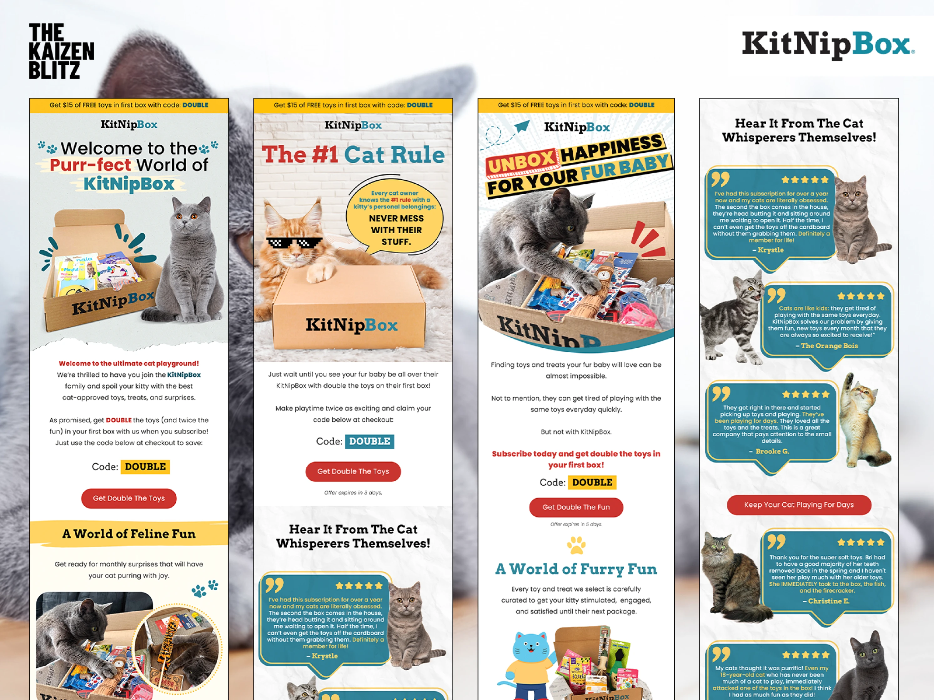 Email Redesign for KitNipBox