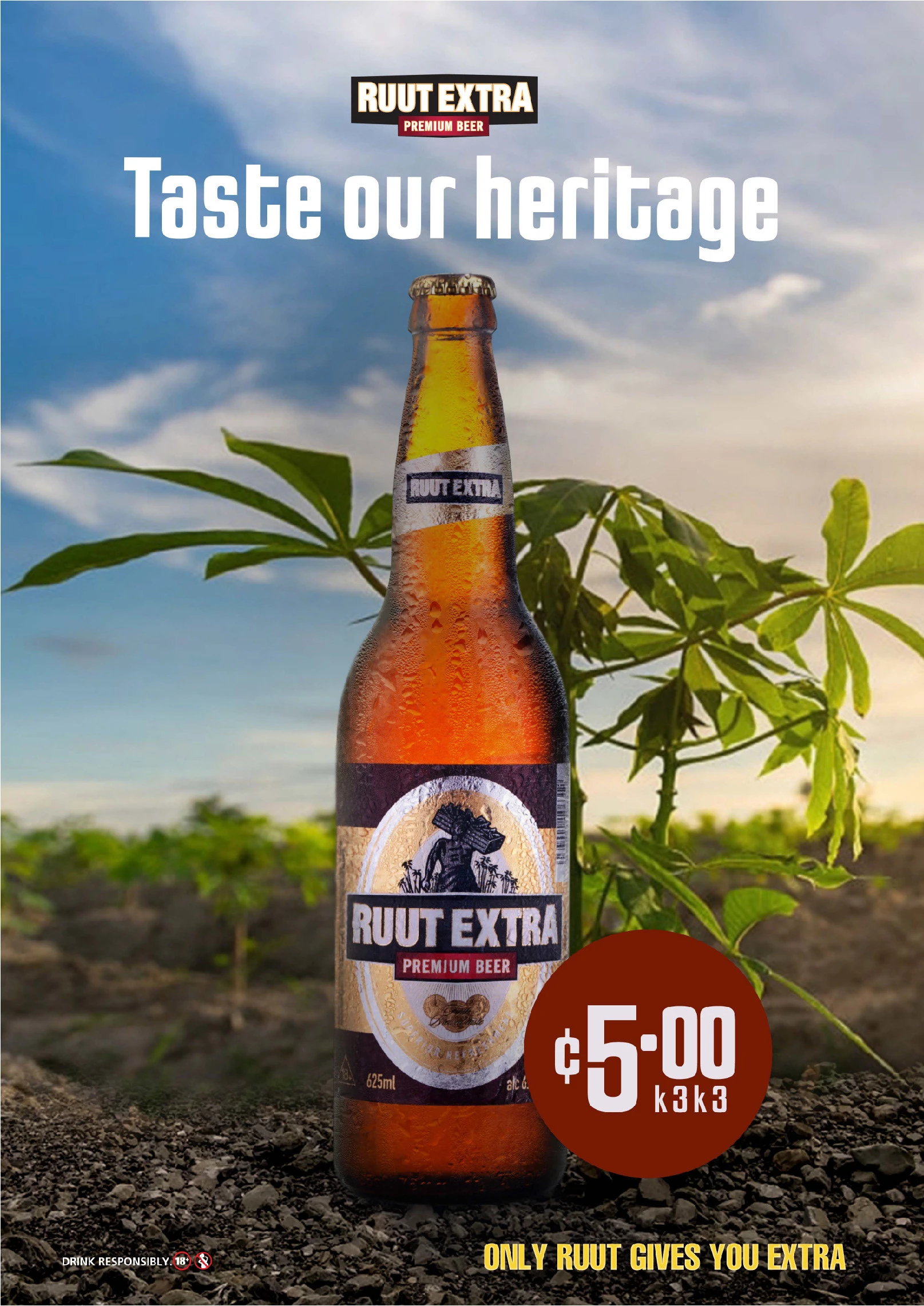 RUUT BEER PRICE POSTER