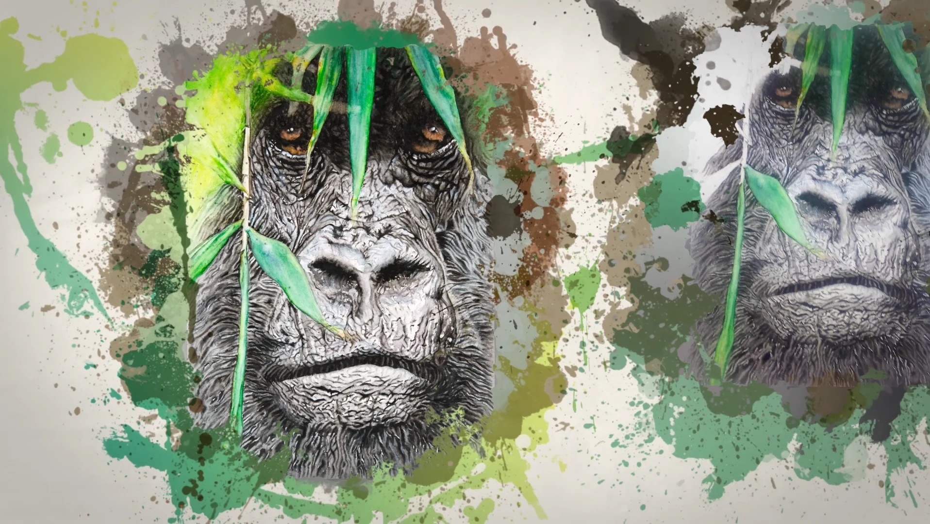 Cover picture of the audiovisual production "Timelapse Video: Gorilla"