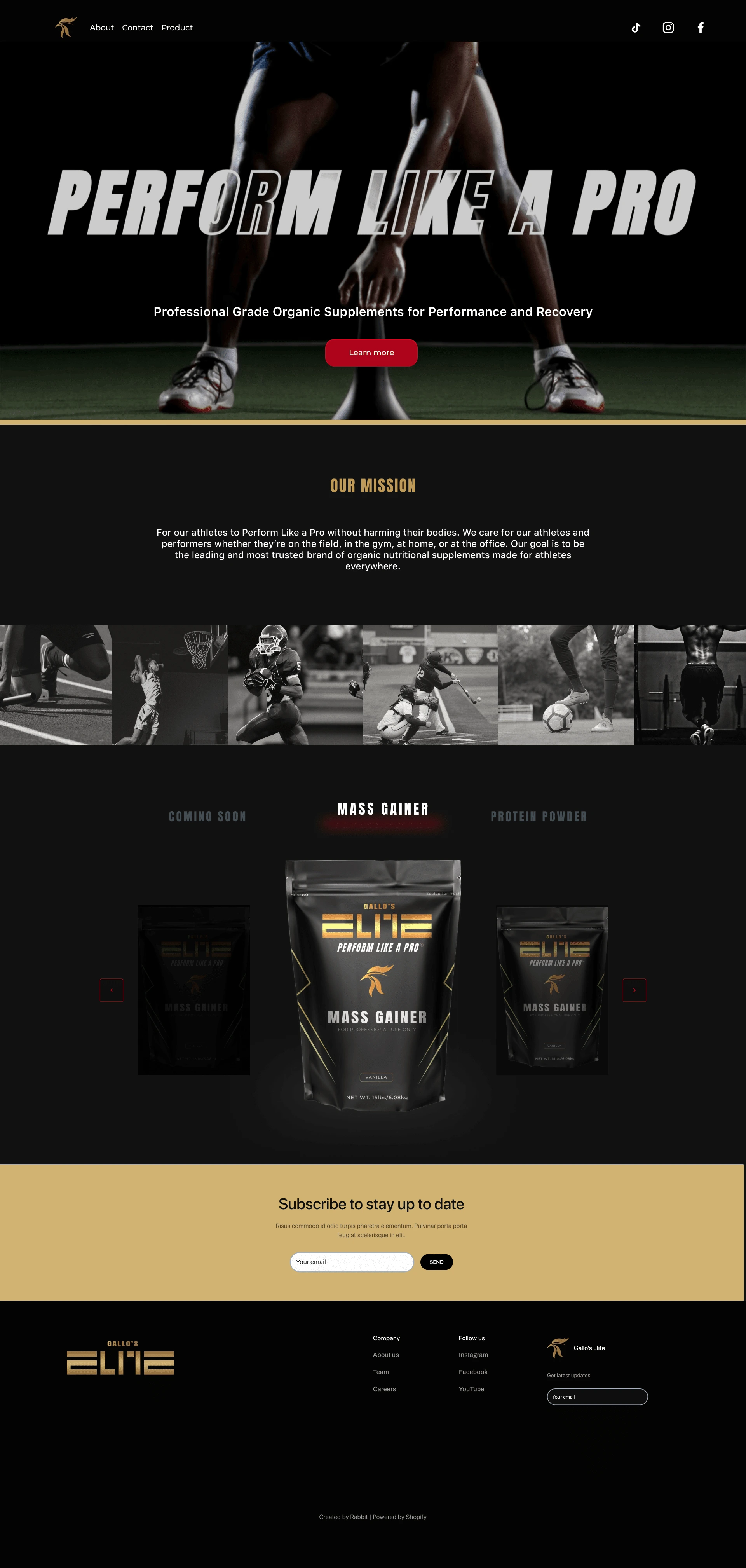 Website Design - Family Protein Brand 