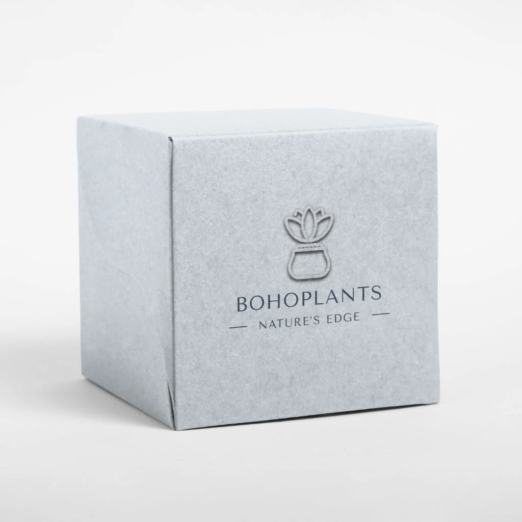 BohoPlants Packaging 