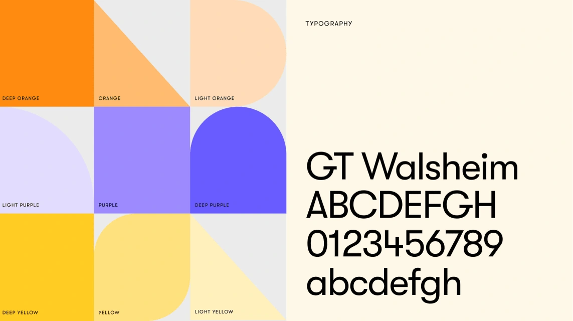 Color Palette / Typography