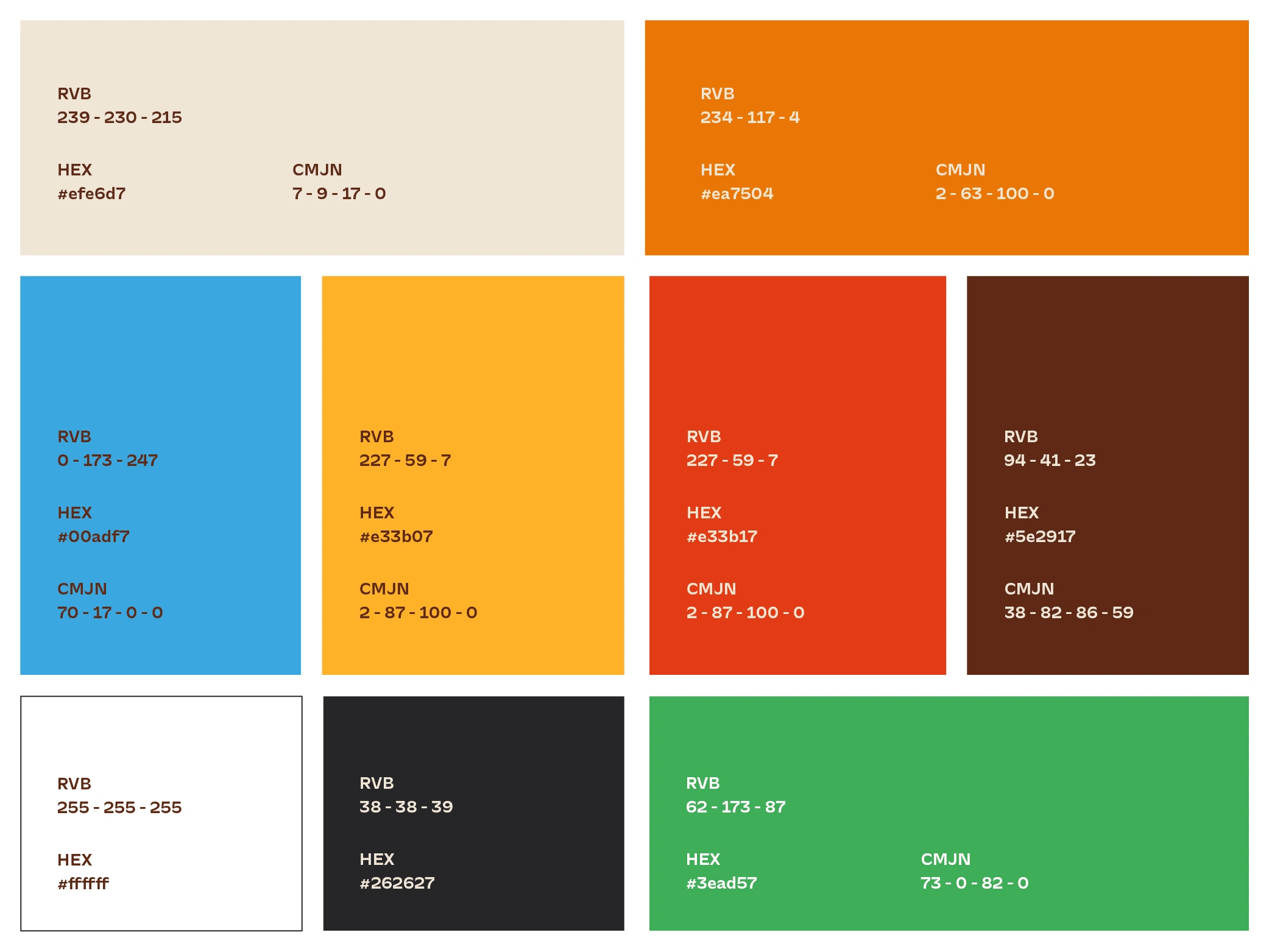 Color palette - Brand Identity Design