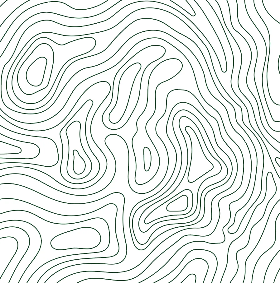 TCS topography map pattern to symbolize authenticity and the journey that their students will embark on when they enroll with TCS.