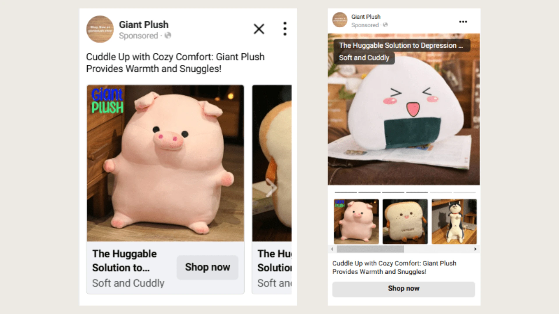 Carousel ads showcased engaging visuals across Facebook Feed, Reels, and Instagram Reels to capture attention and drive conversions.