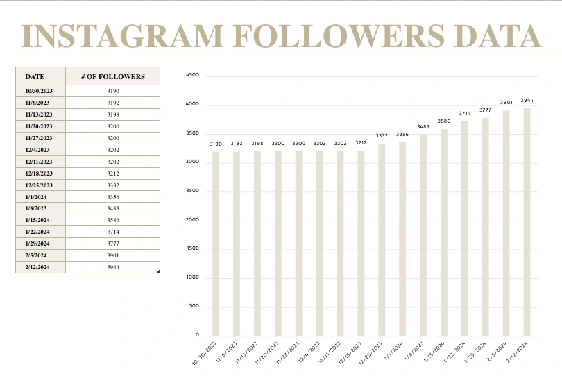 The graph above illustrates our weekly follower growth, achieved through consistent posting, strategic marketing efforts, and the implementation of targeted paid ad campaigns in 16 weeks