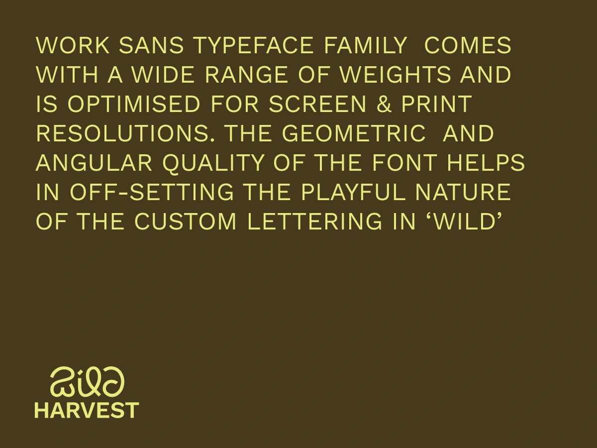 Primary Typeface