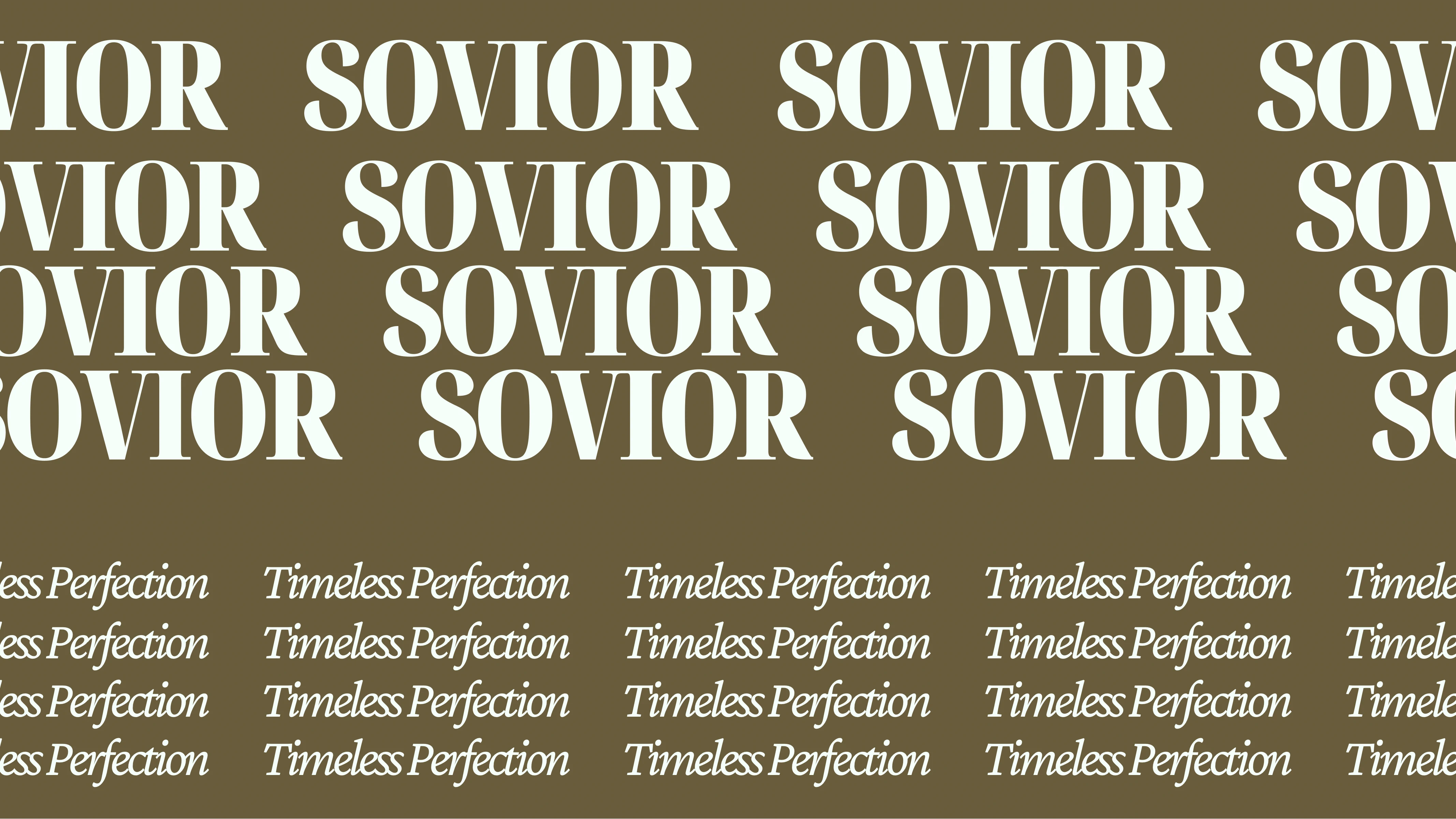 Primary typeface and font.