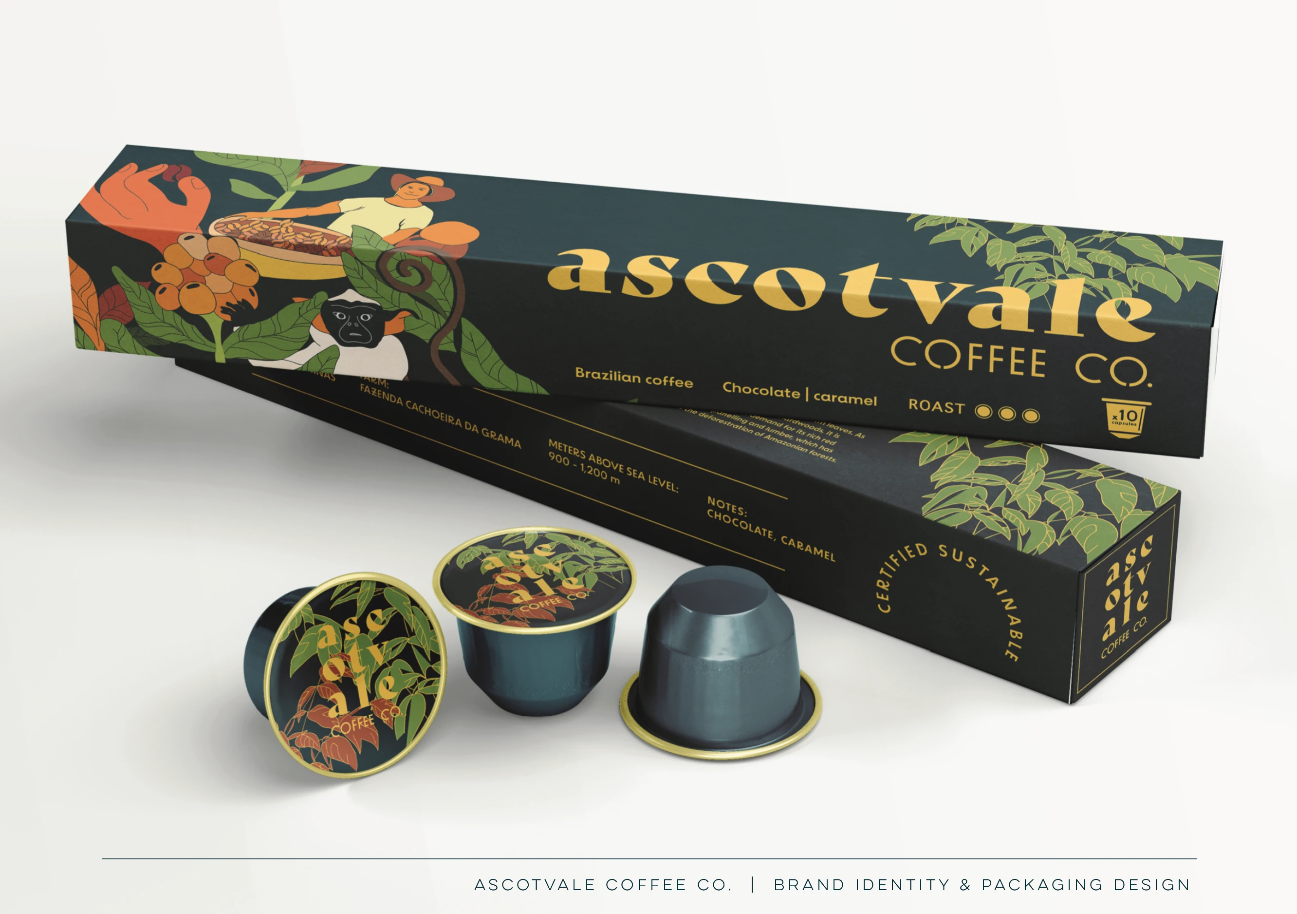 Logo Design, Packaging Design, Illustration - branded 3D mockup, packaging box