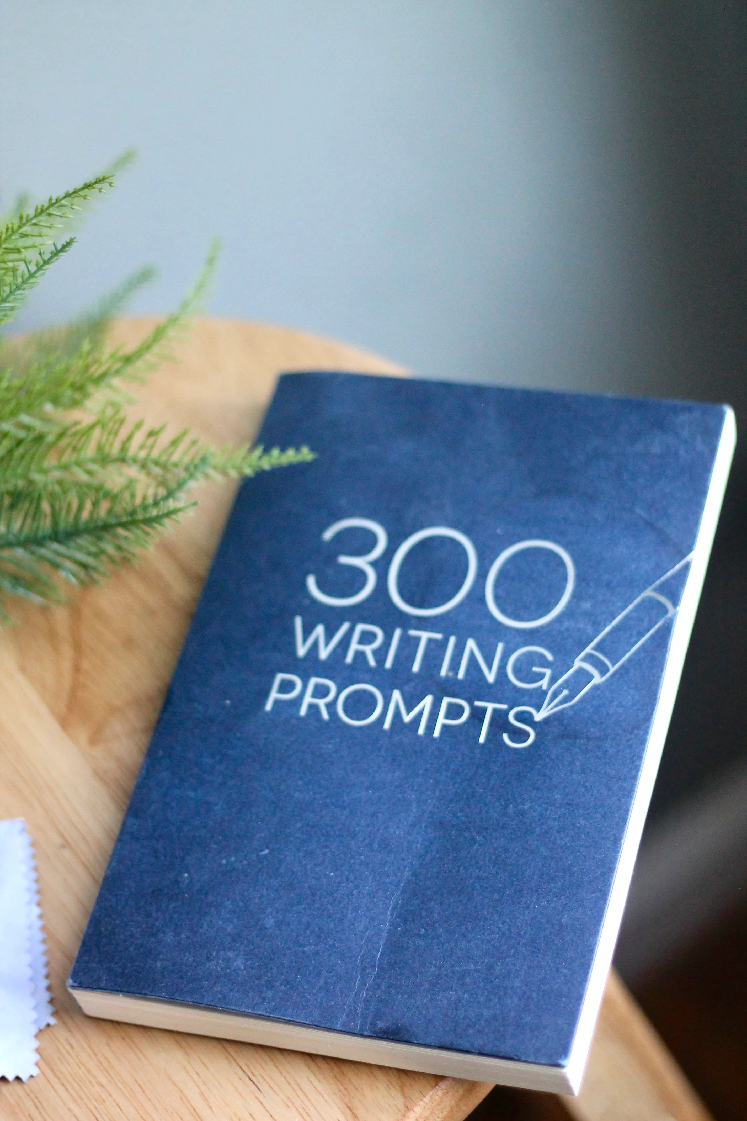 This writing prompt book has been my go-to for nightly creativity sessions. Who knows what ideas will spark next?