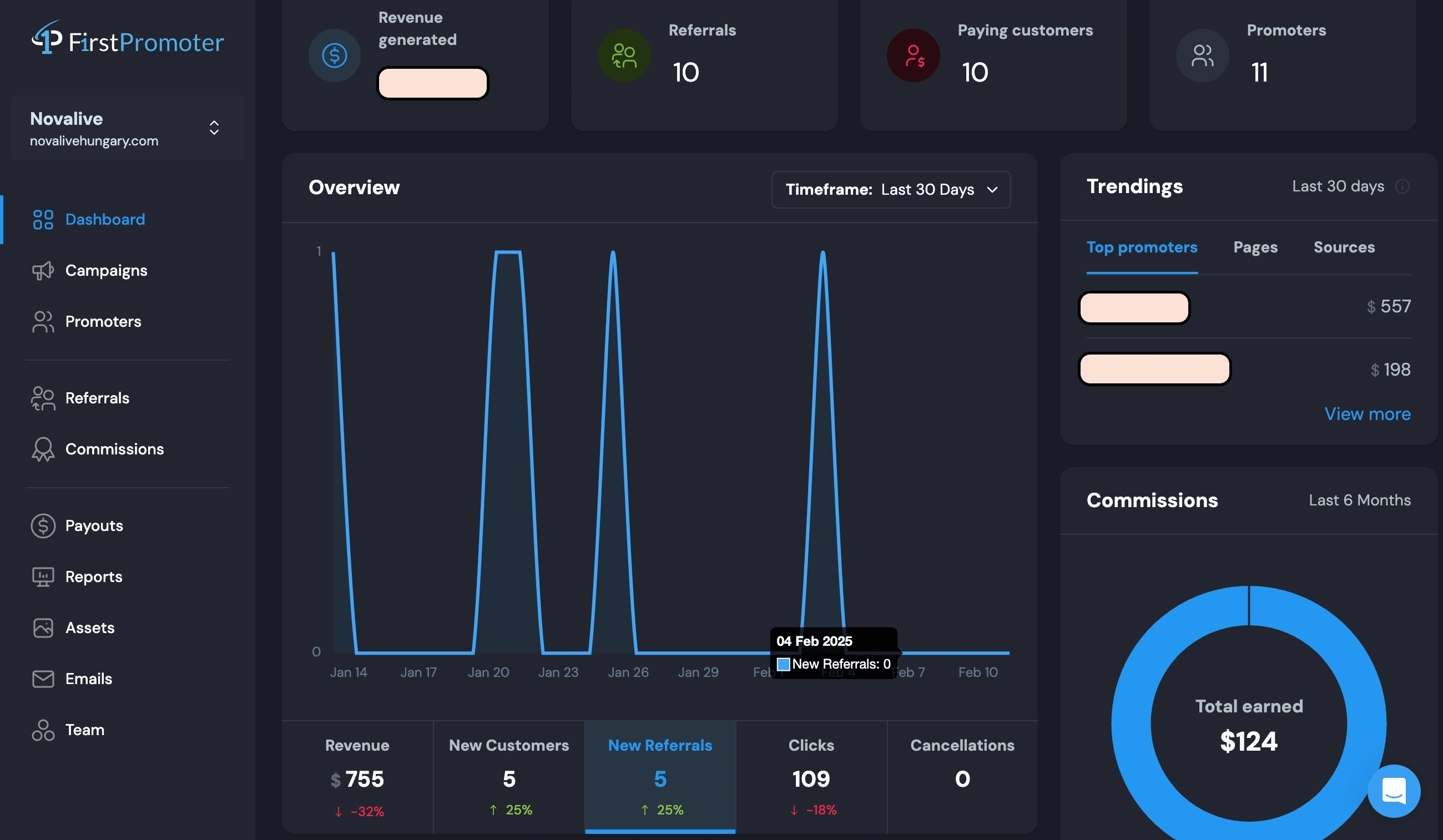 Screenshot about FirstPromoter dashboard with privacy.