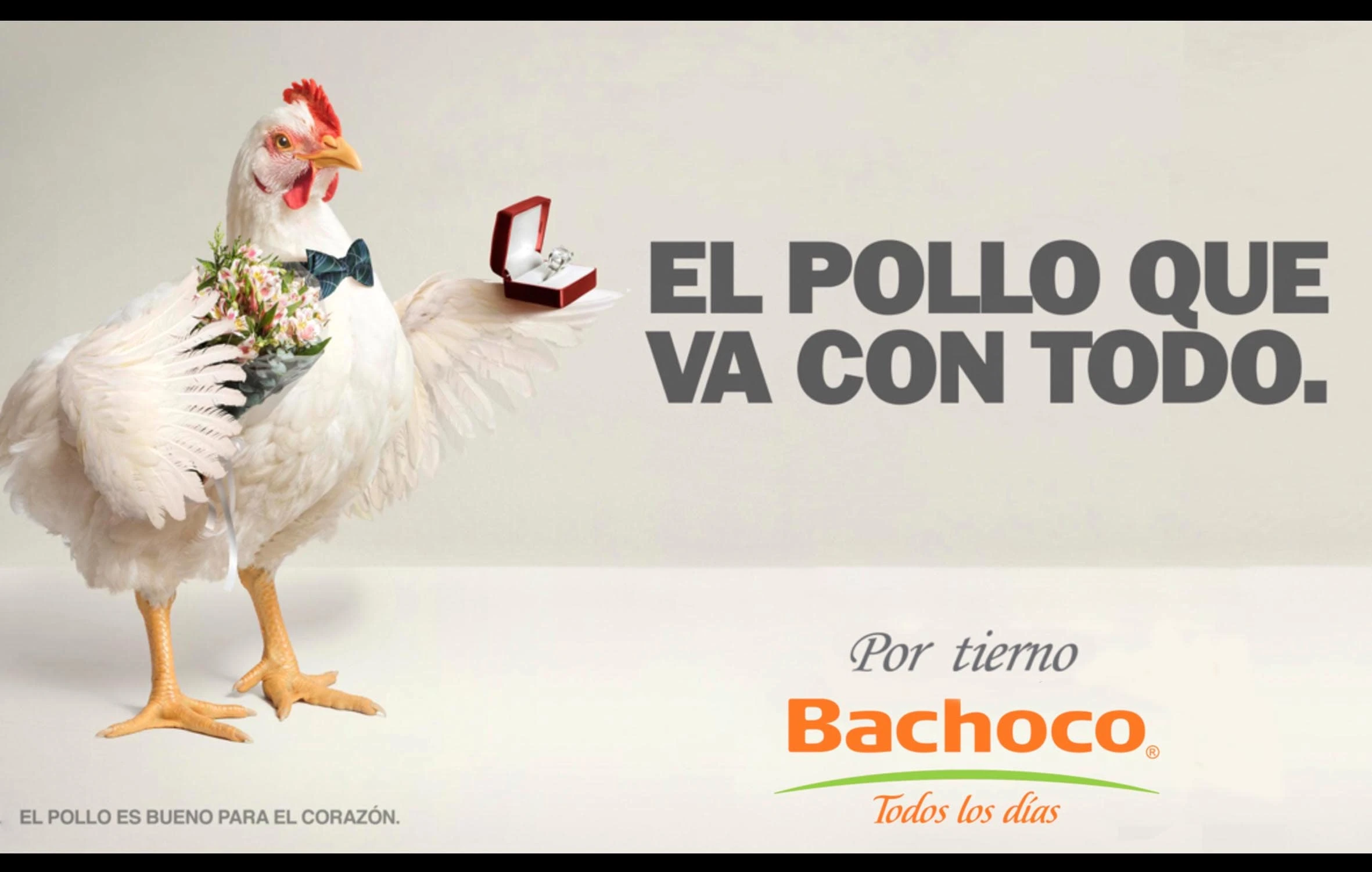 BACHOCO - Chiken and eggs