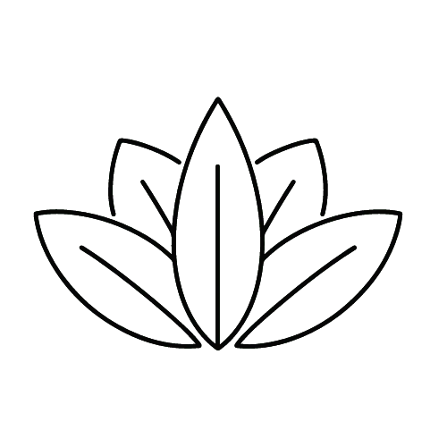 Lotus Design 