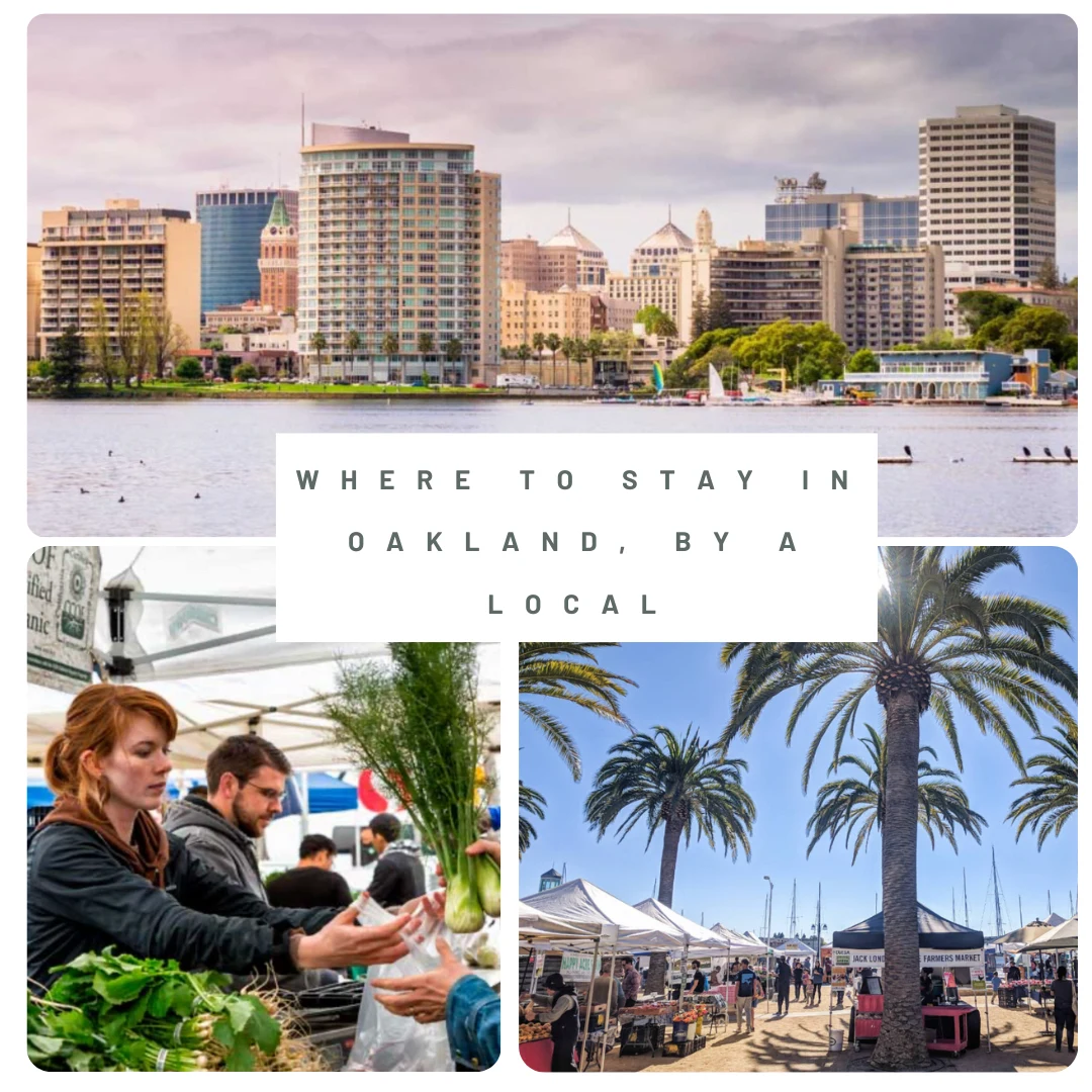 Relax by the water at Lake Merritt and visit the Farmers Markets with your family ✨