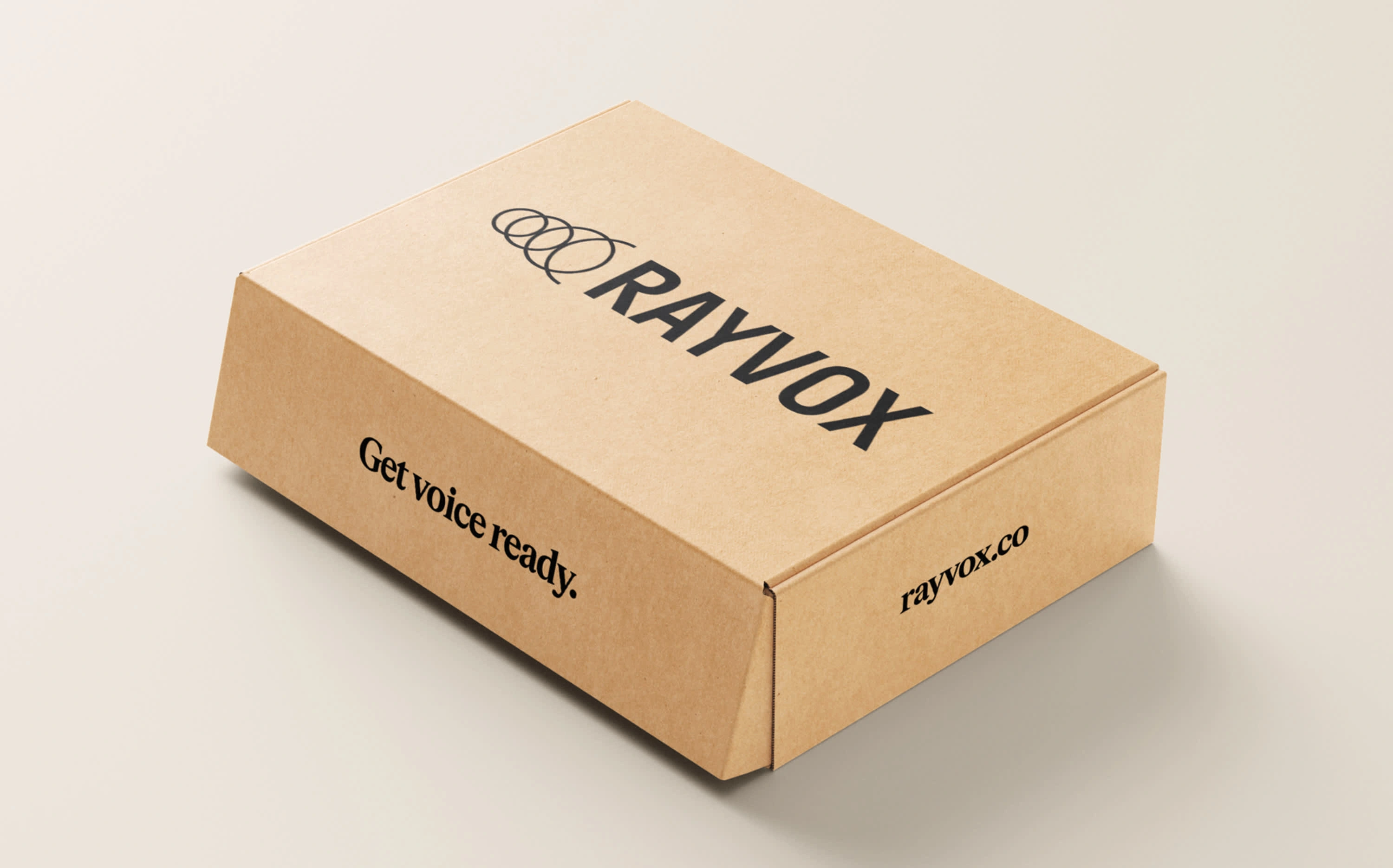 Rayvox branded mail delivery package.