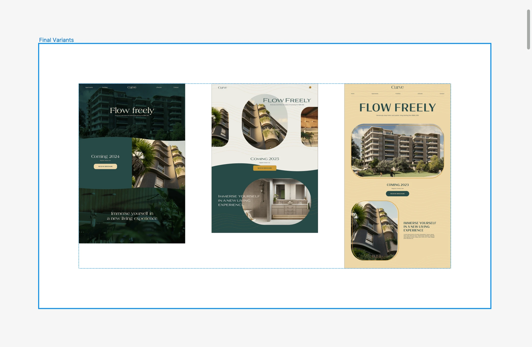 Final homepage variants for client to choose from