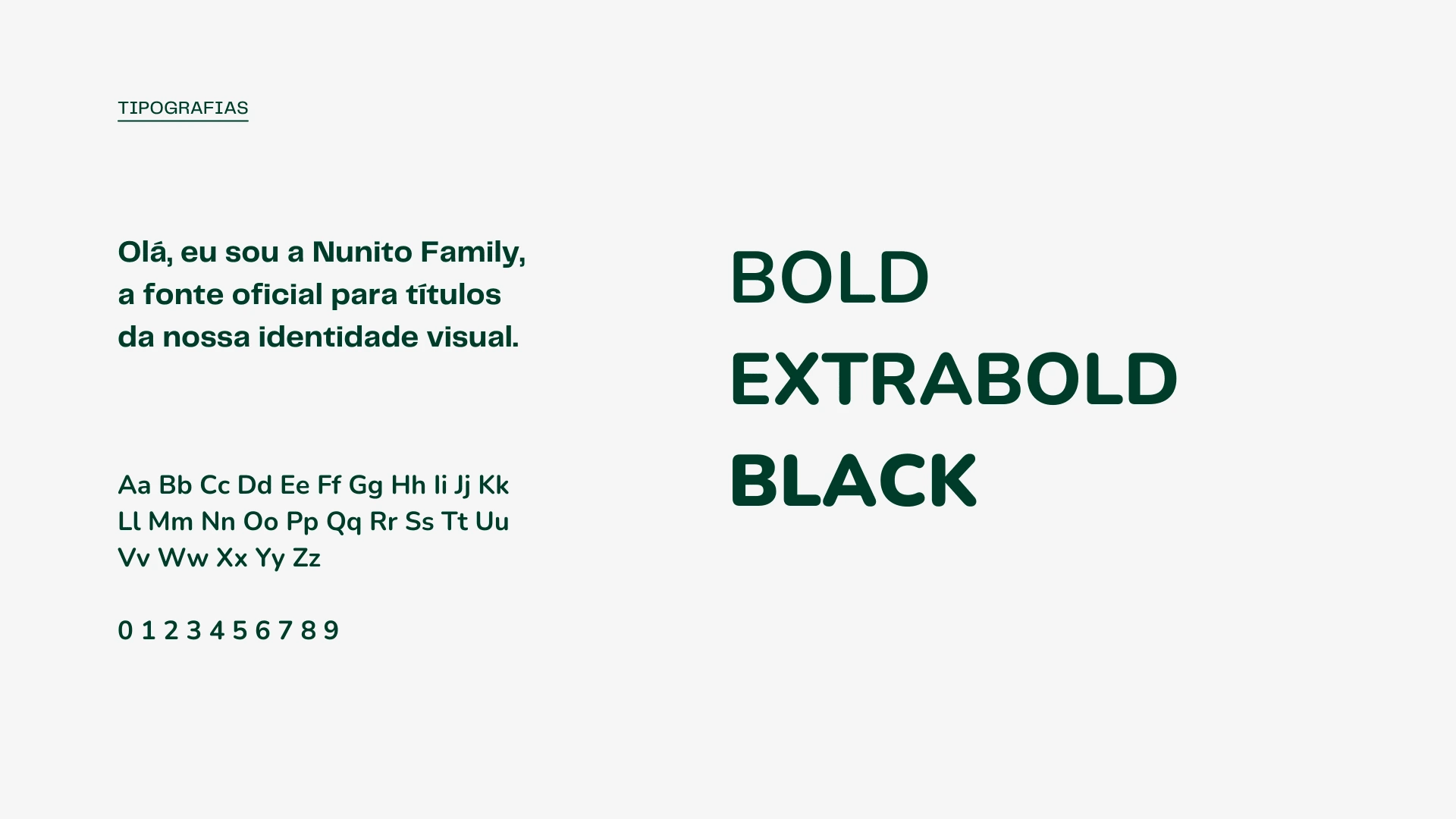 Hello, I'm Nunito Family, the official font for titles in our visual identity.