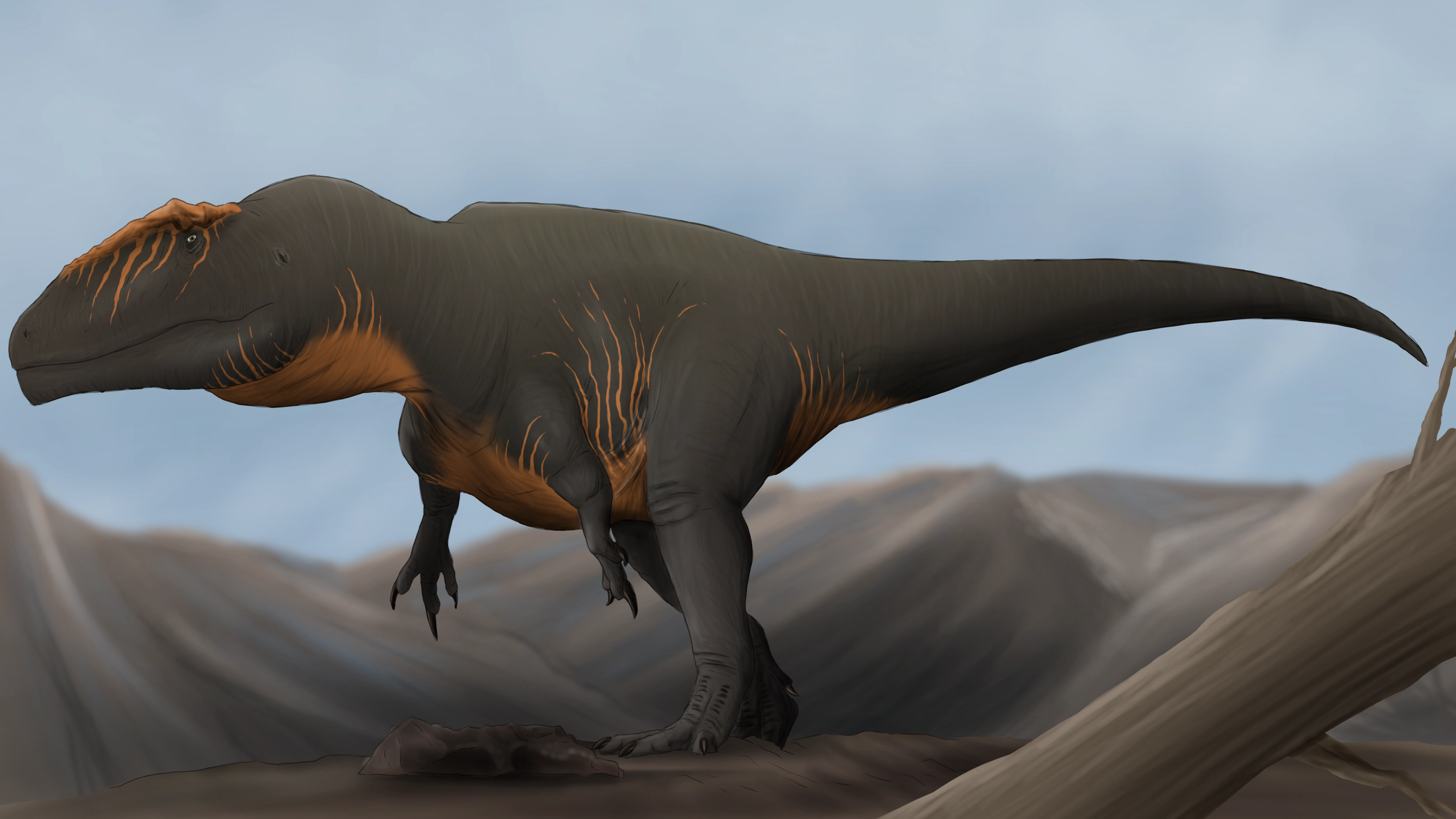 An apex predator surveying the land, Carcharodontosaurus makes its way across the dunes.