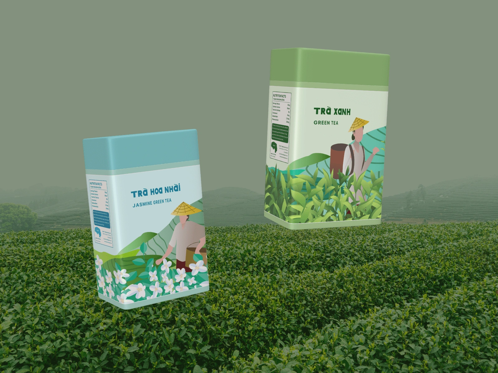 Tea has become a tradition drink in Vietnam and not only use for special occasion but on a daily basis. Two most popular tea in Vietnam are Jasmine and Green Tea. The illustrations depicts farmer picking up tea leaves for the next process on the hill.