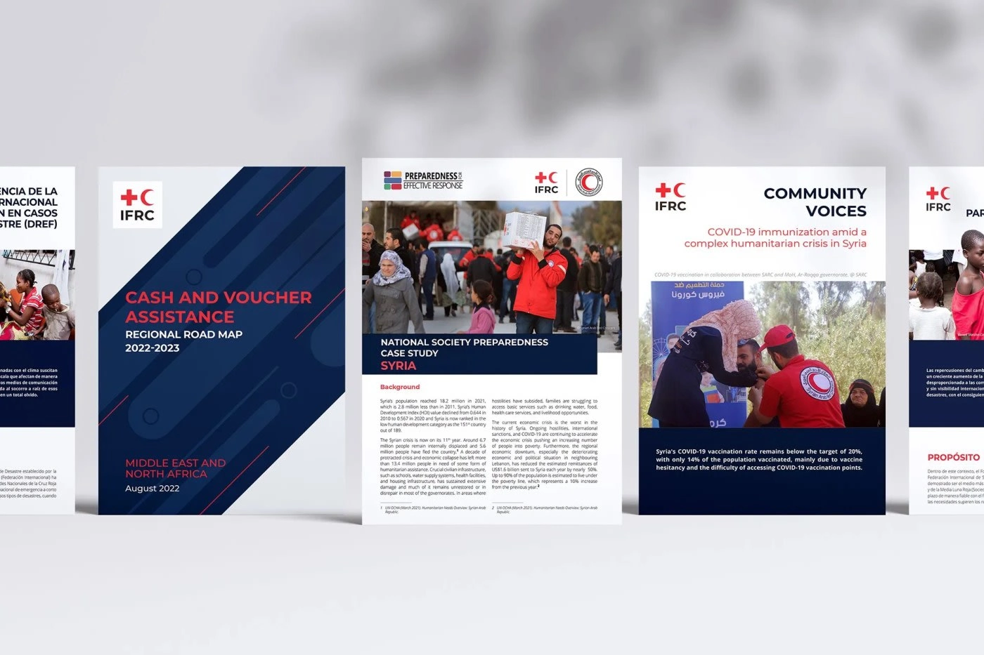 Annual and Program Report Design