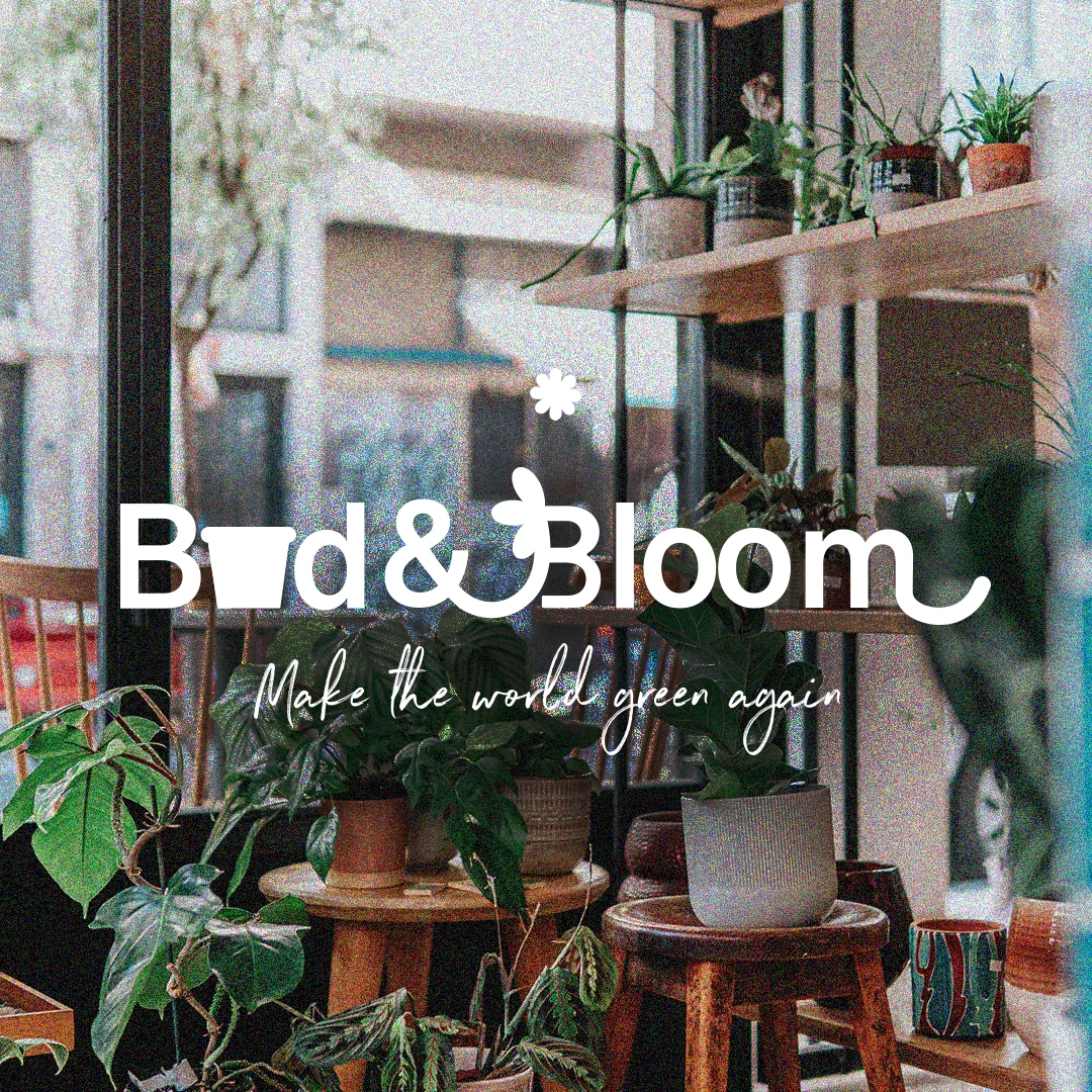 Logo Design Bud & Bloom