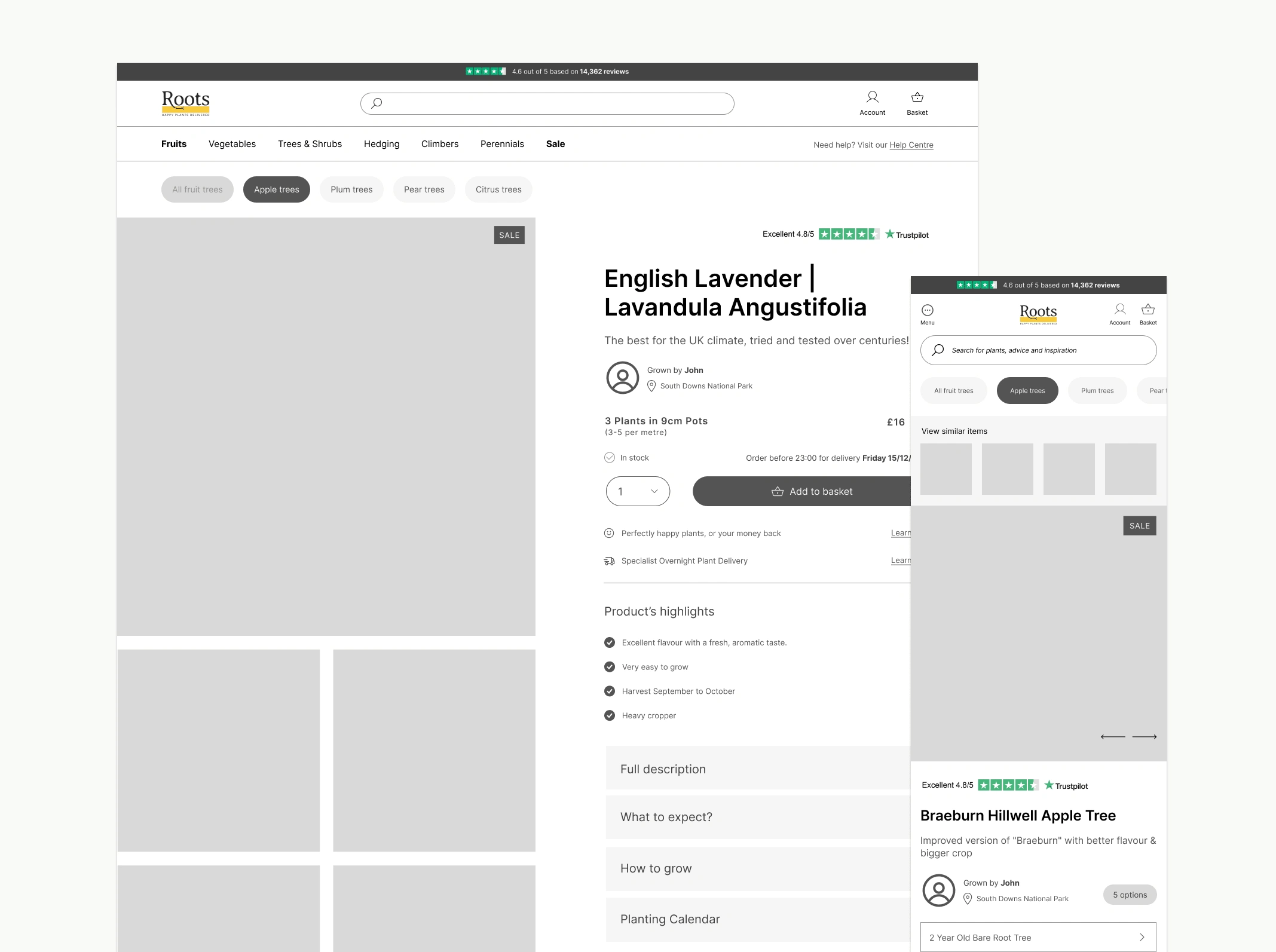 Wireframe of the product page