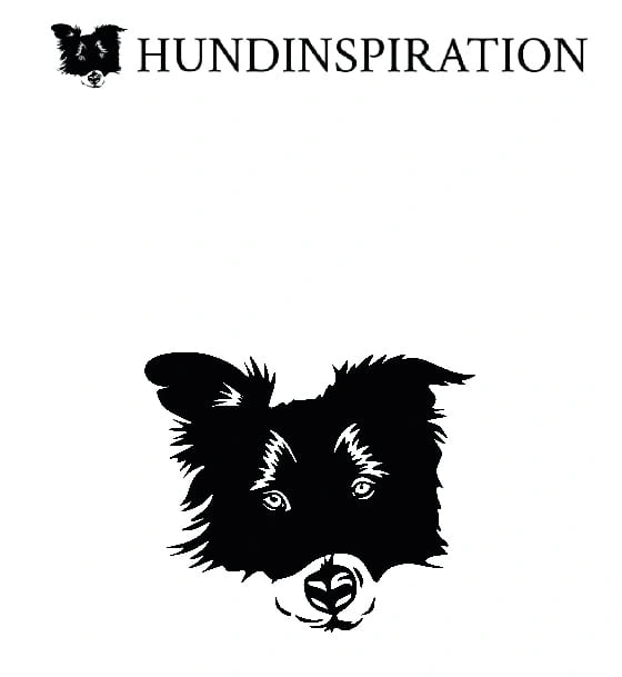 the old Hundinspiration logo