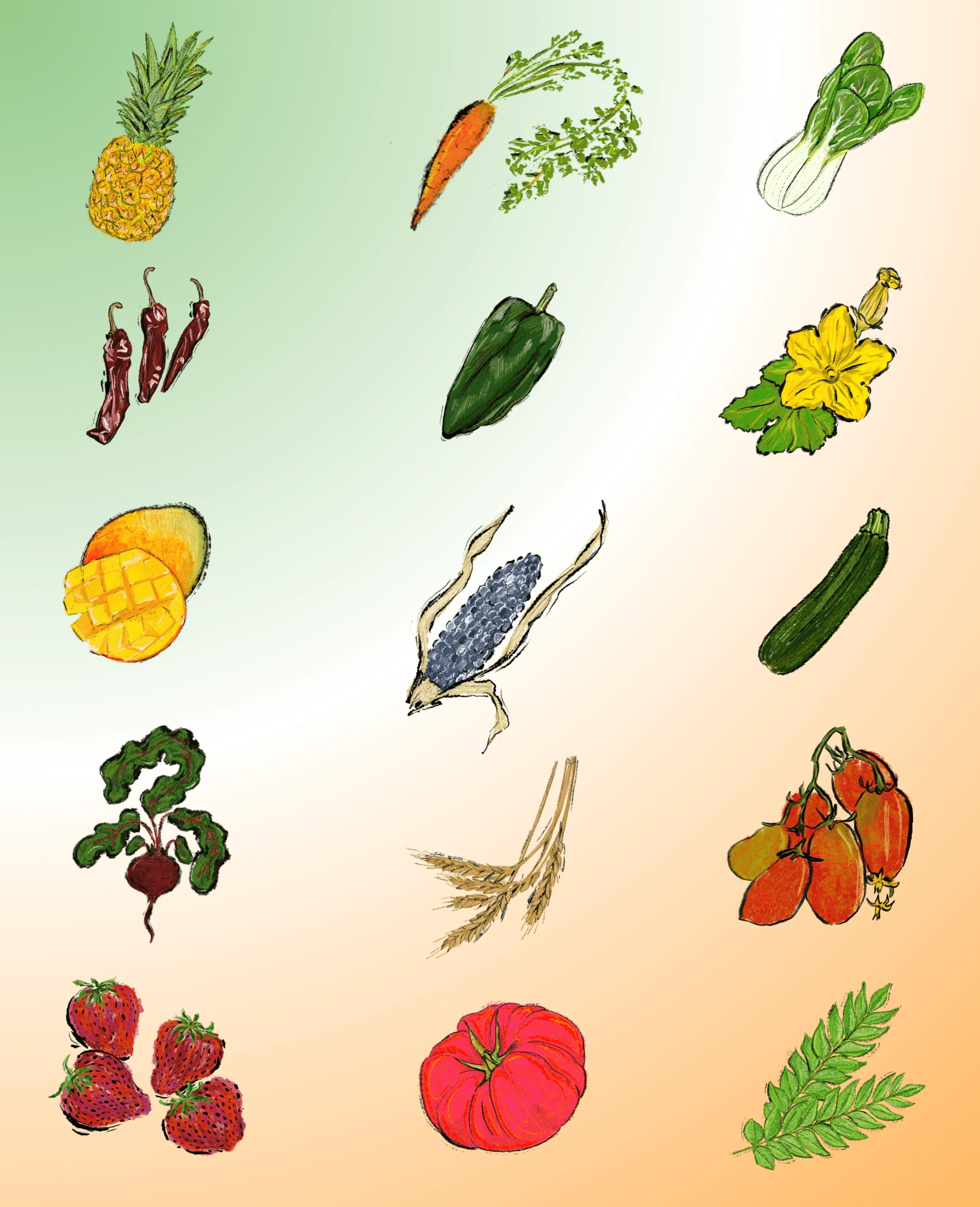 Original illustrated produce assets created for the cookbook. Created in Adobe Fresco.