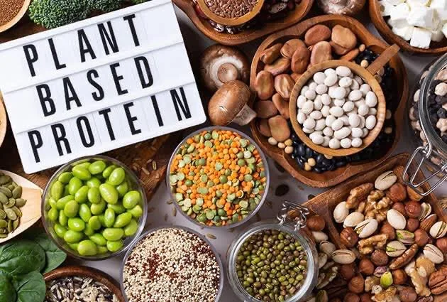 PLANT-BASED PROTEINS