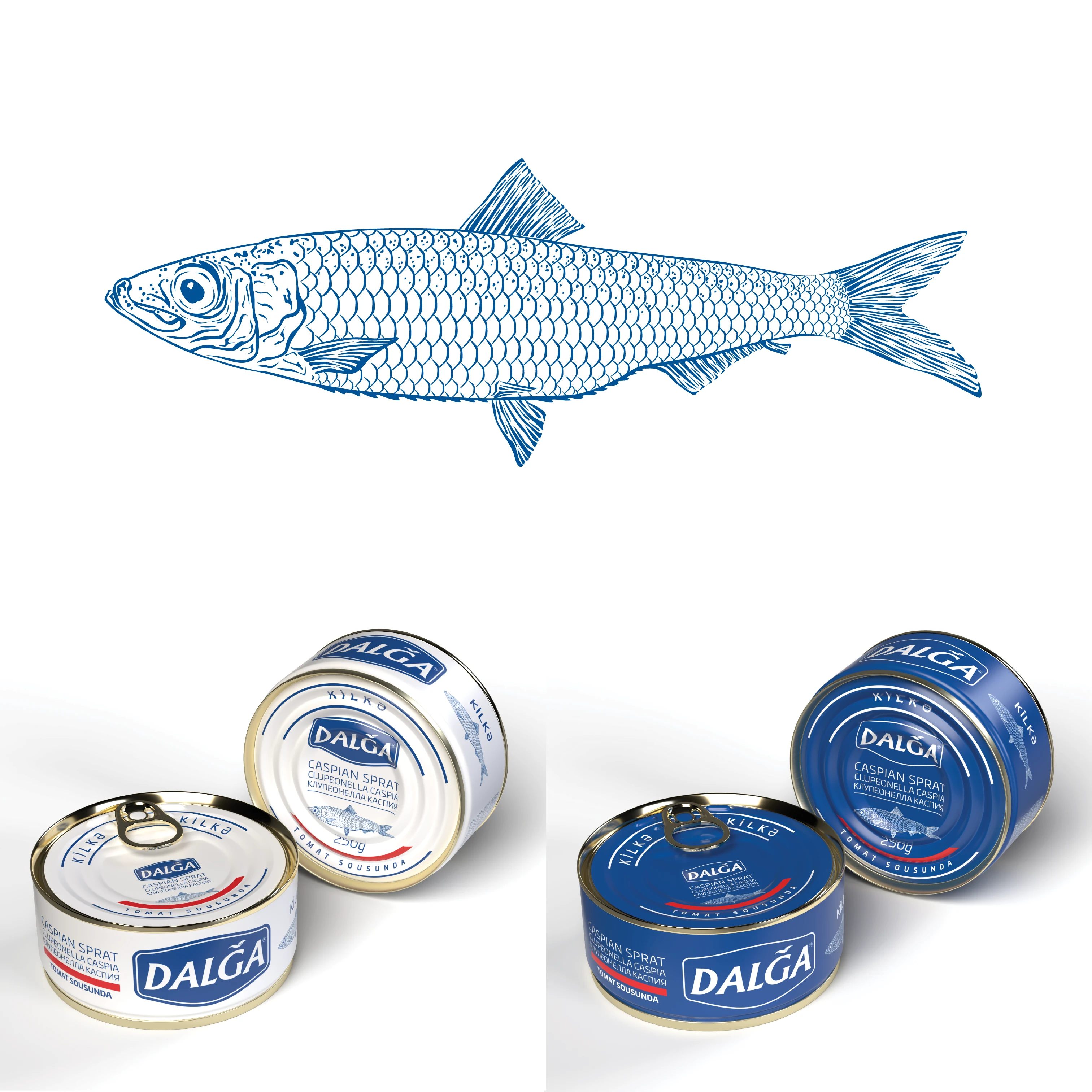 Illustration and Packaging Design for Canned Seafood