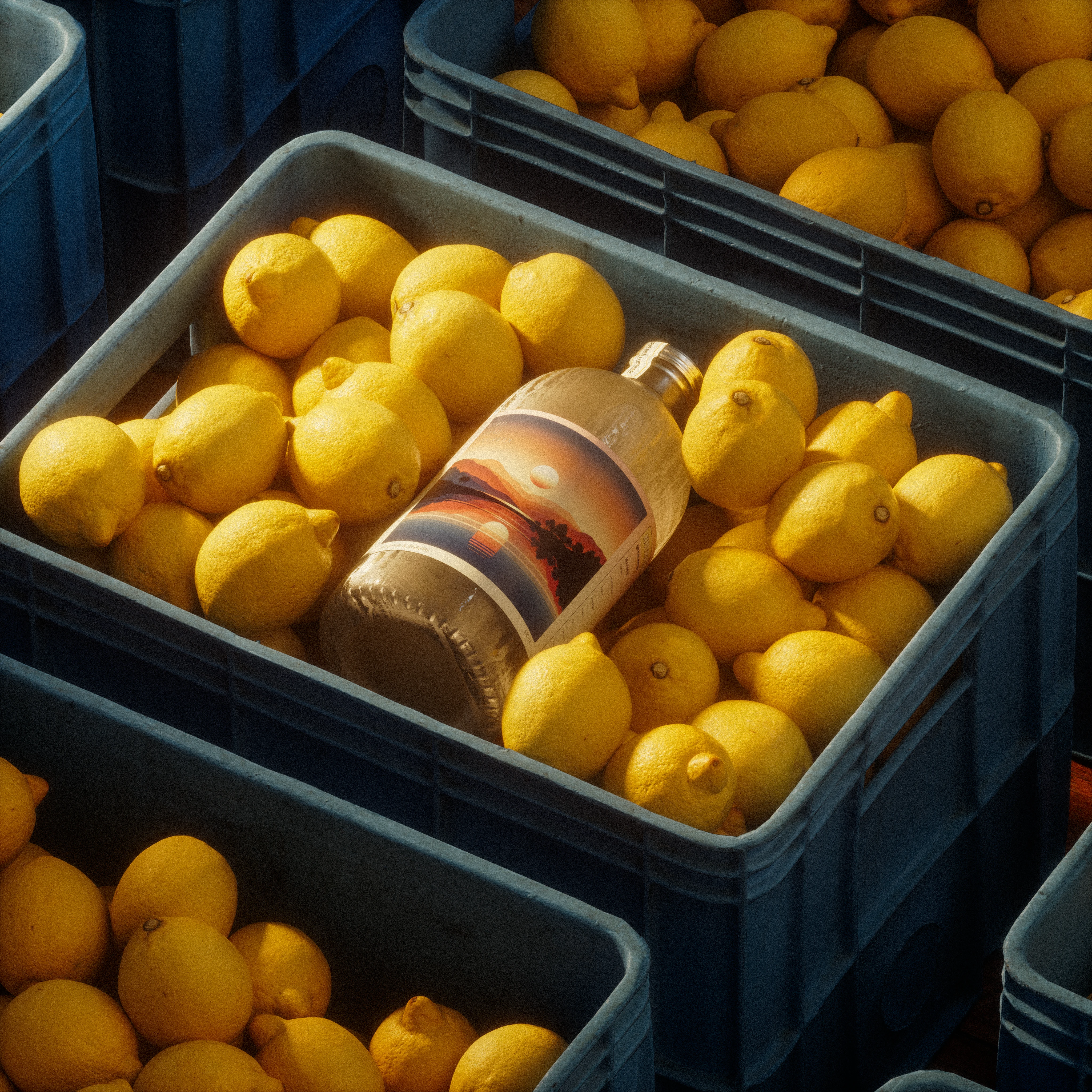  Lemonade bottle resting atop fresh lemons in a plastic crate